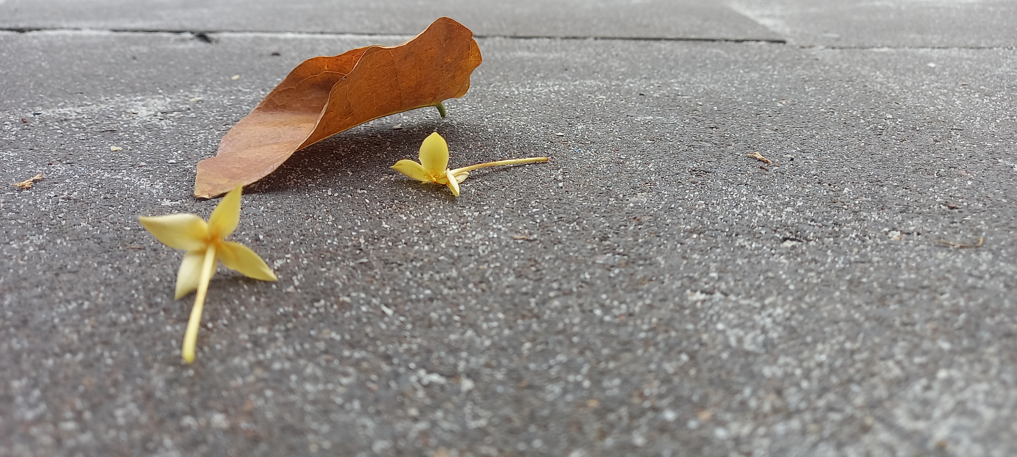 Boring Shooting Image