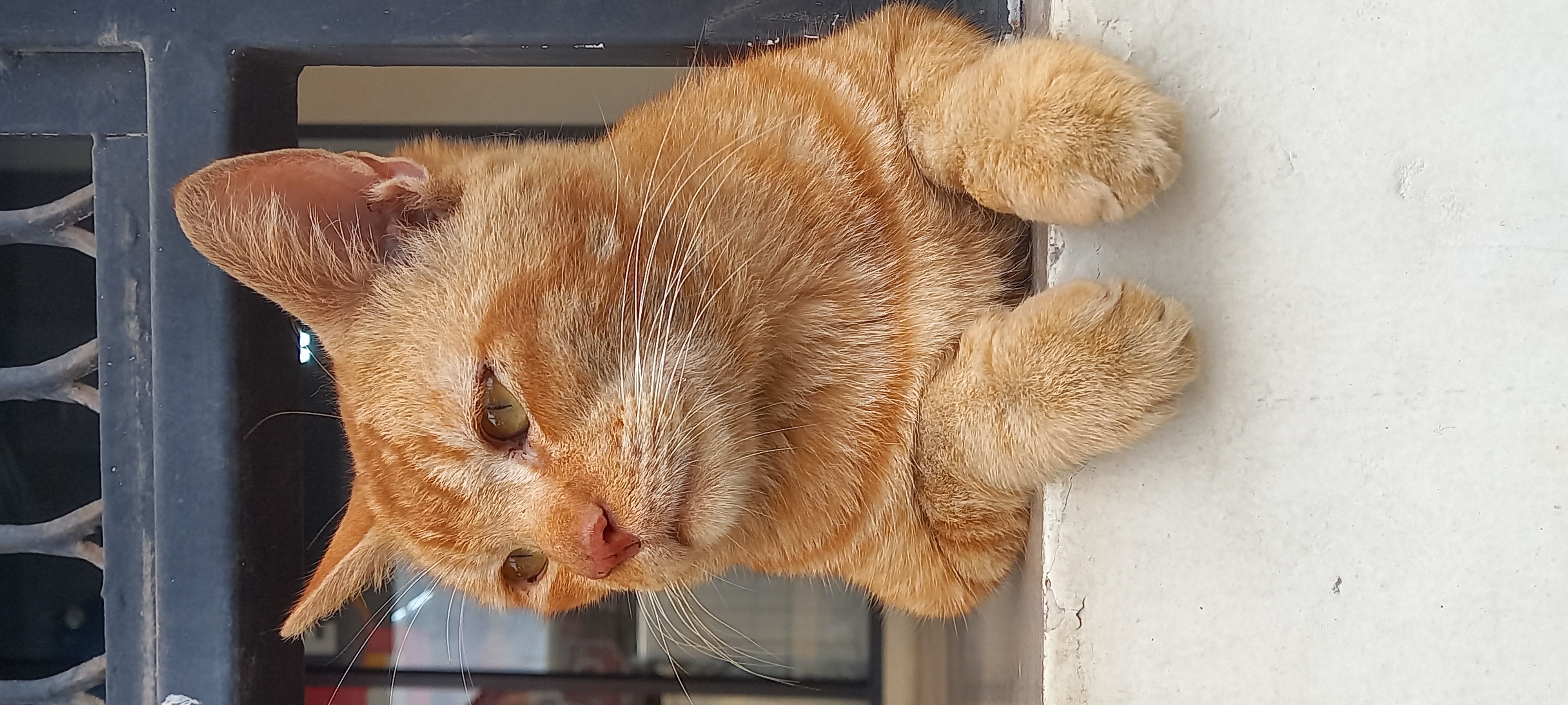 Boring Shooting Image