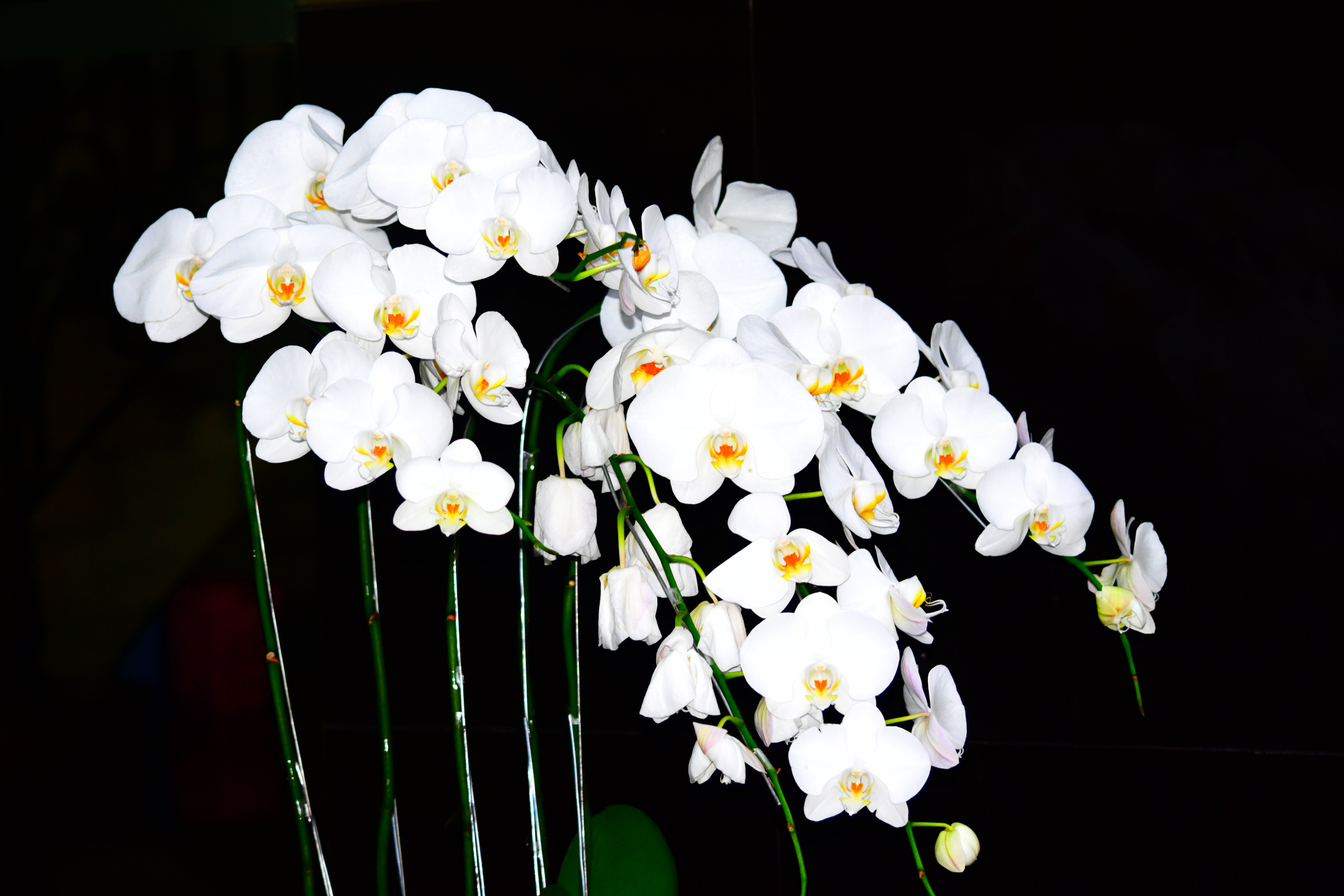 Boring Shooting Image