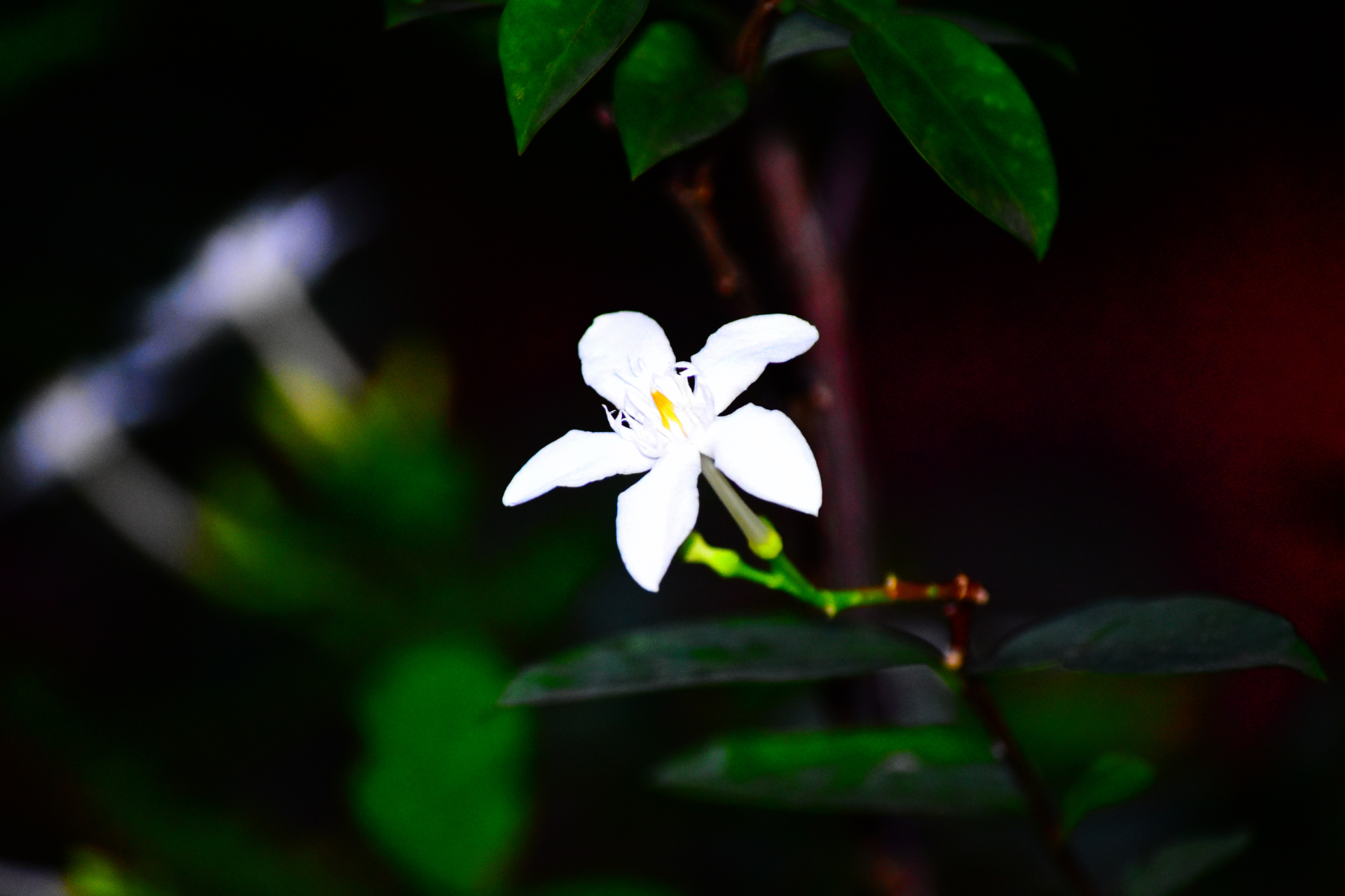 Boring Shooting Image