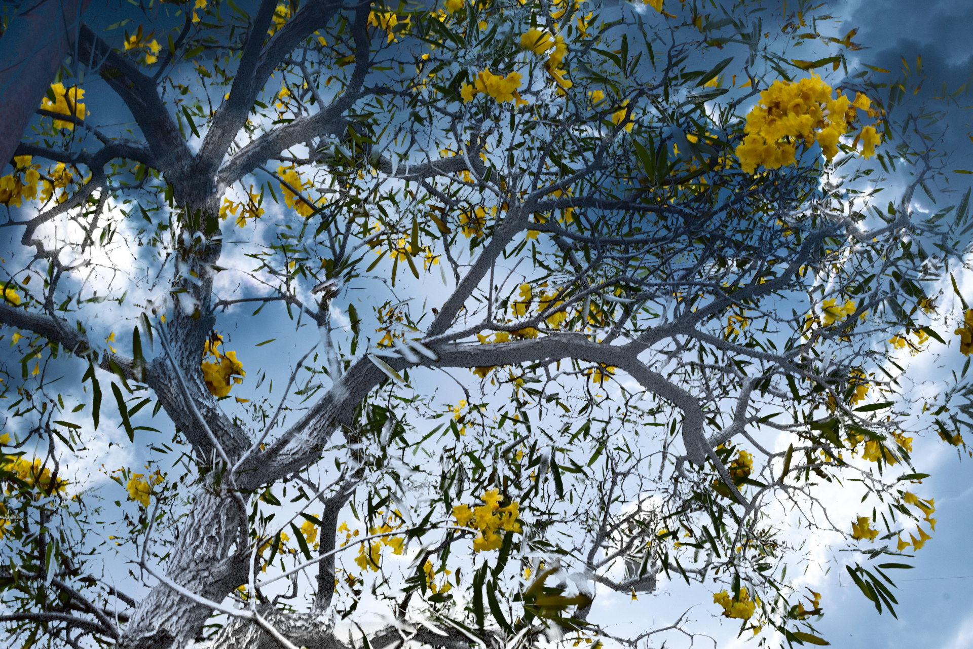 Boring Shooting Image