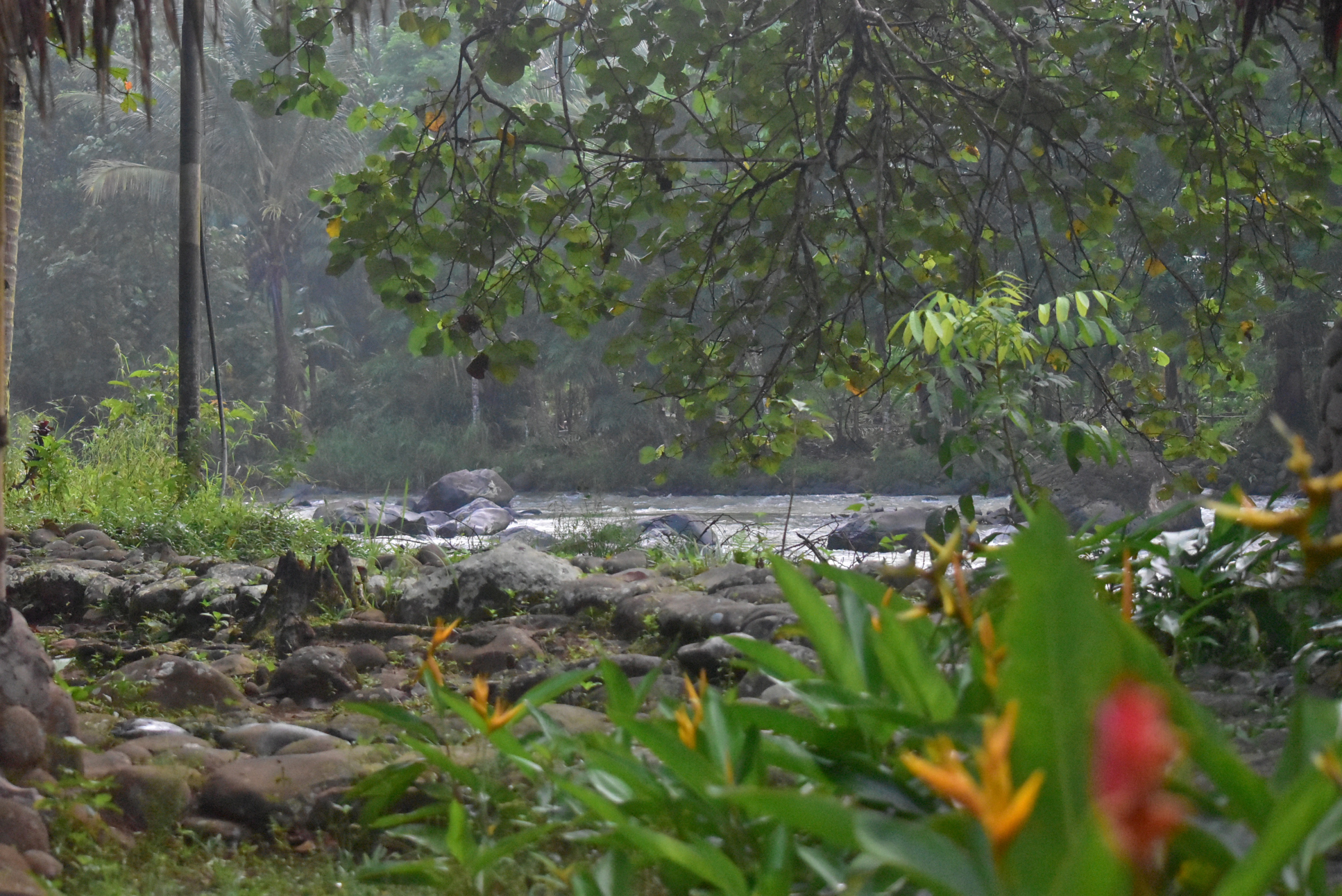 Boring Shooting Image