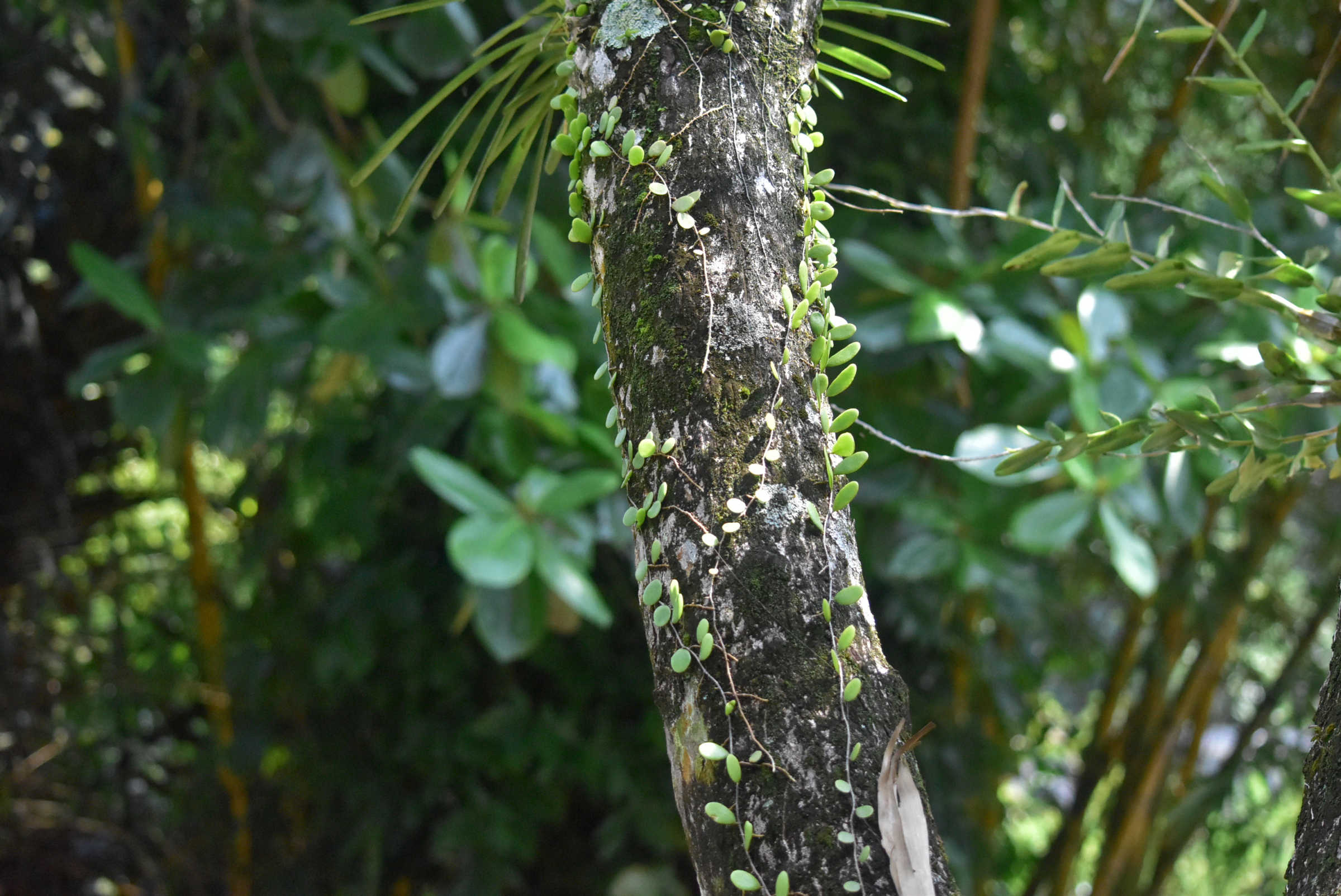 Boring Shooting Image