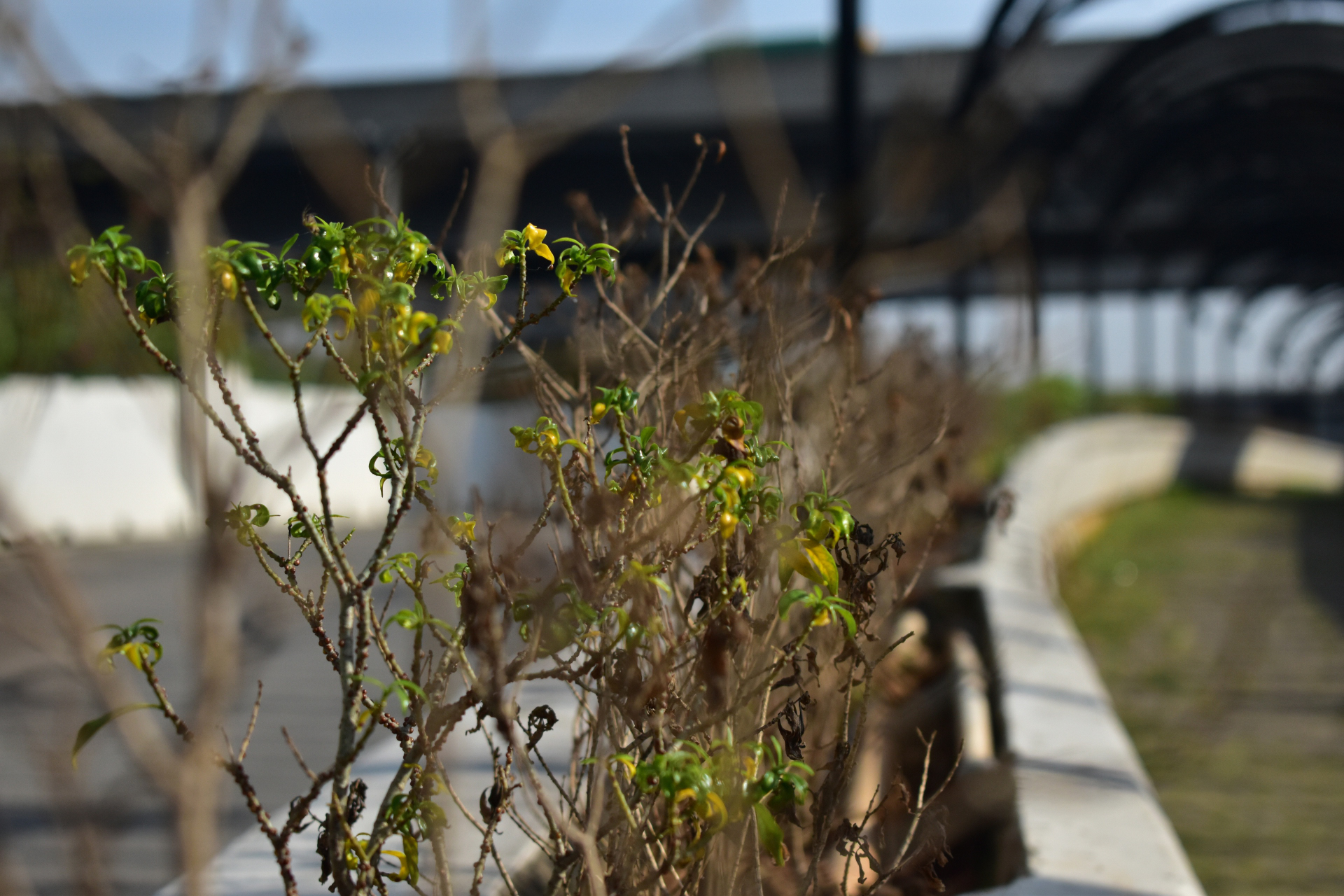 Boring Shooting Image