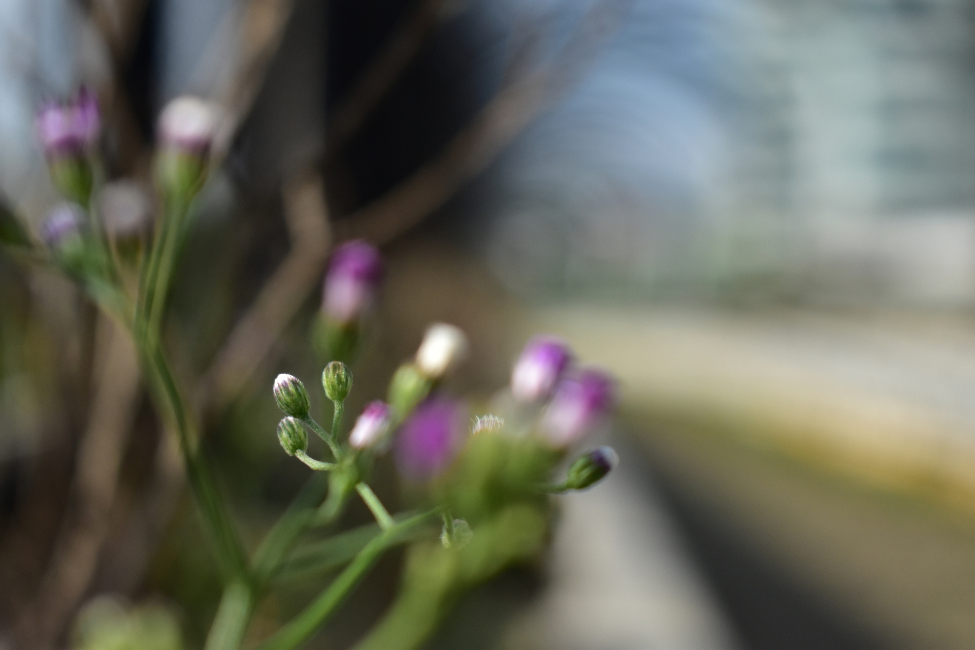 Boring Shooting Image