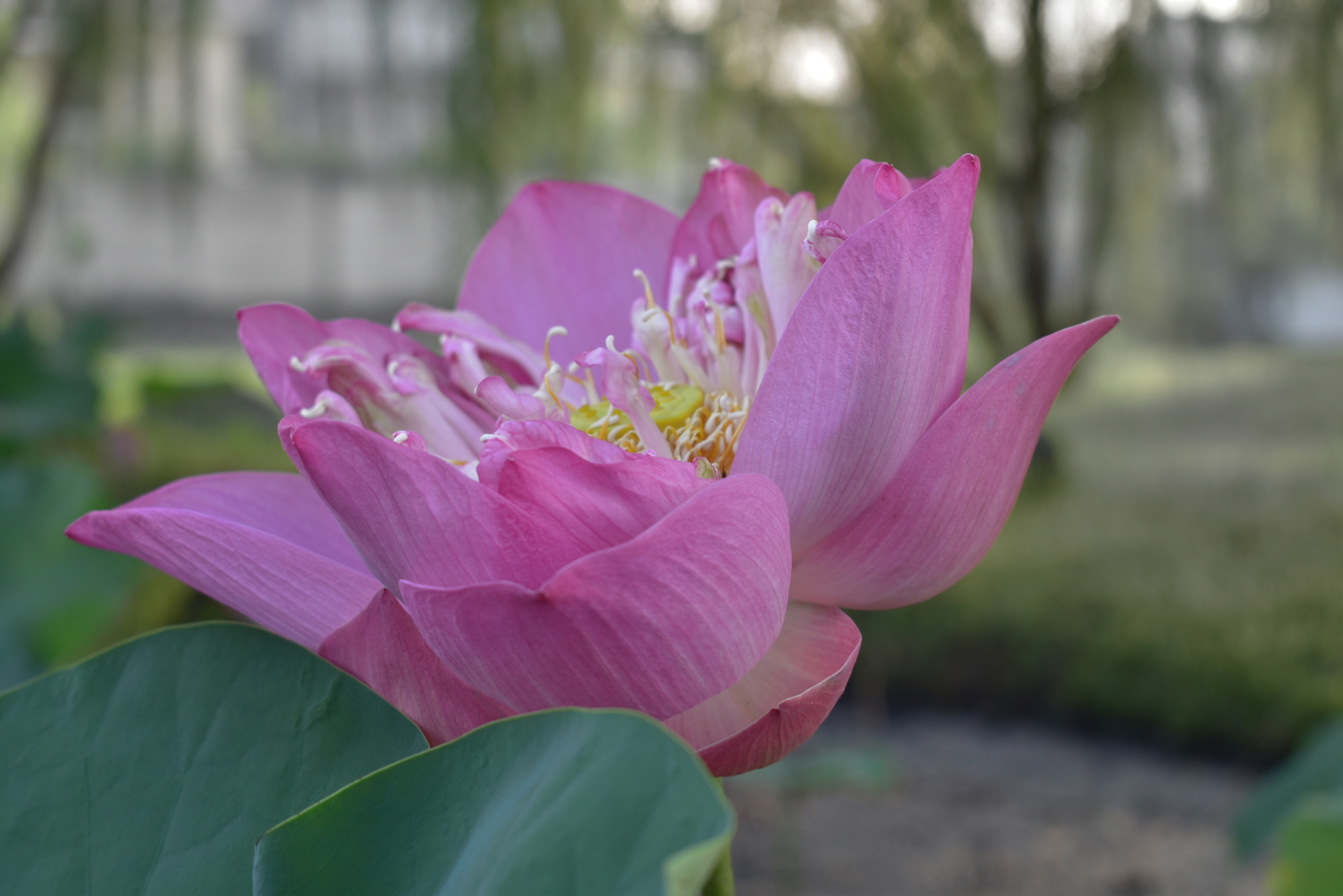 Boring Shooting Image