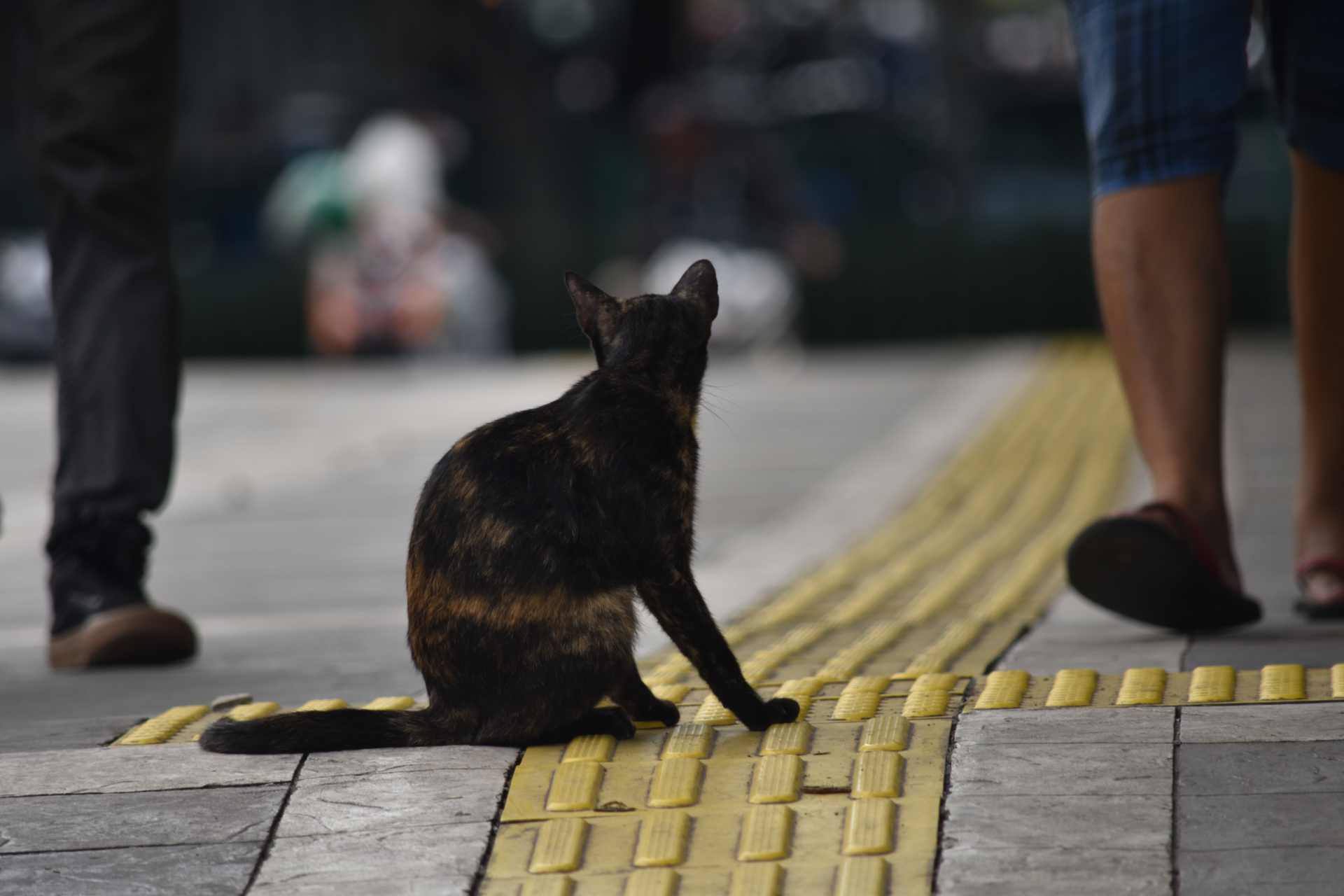 Boring Shooting Image