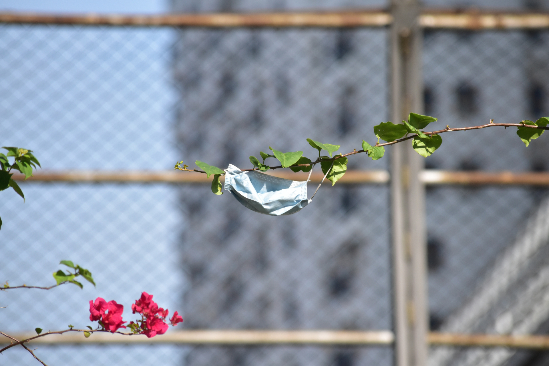 Boring Shooting Image