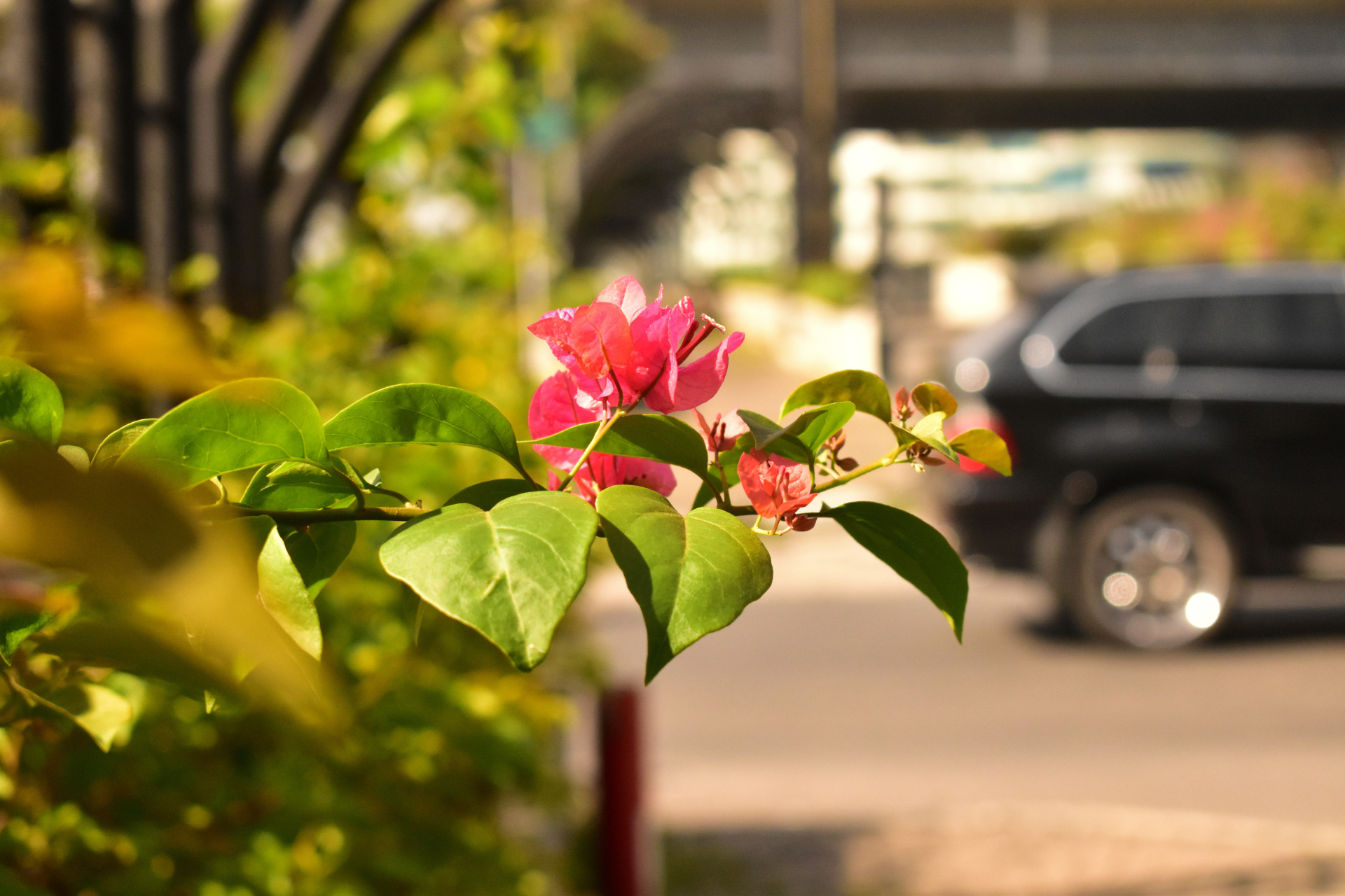 Boring Shooting Image