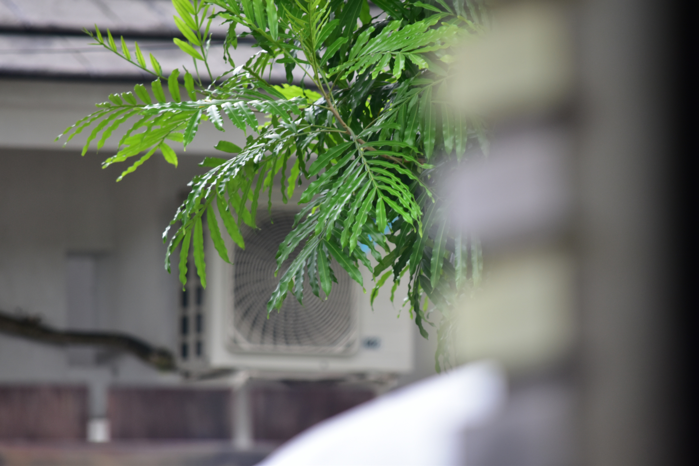 Boring Shooting Image