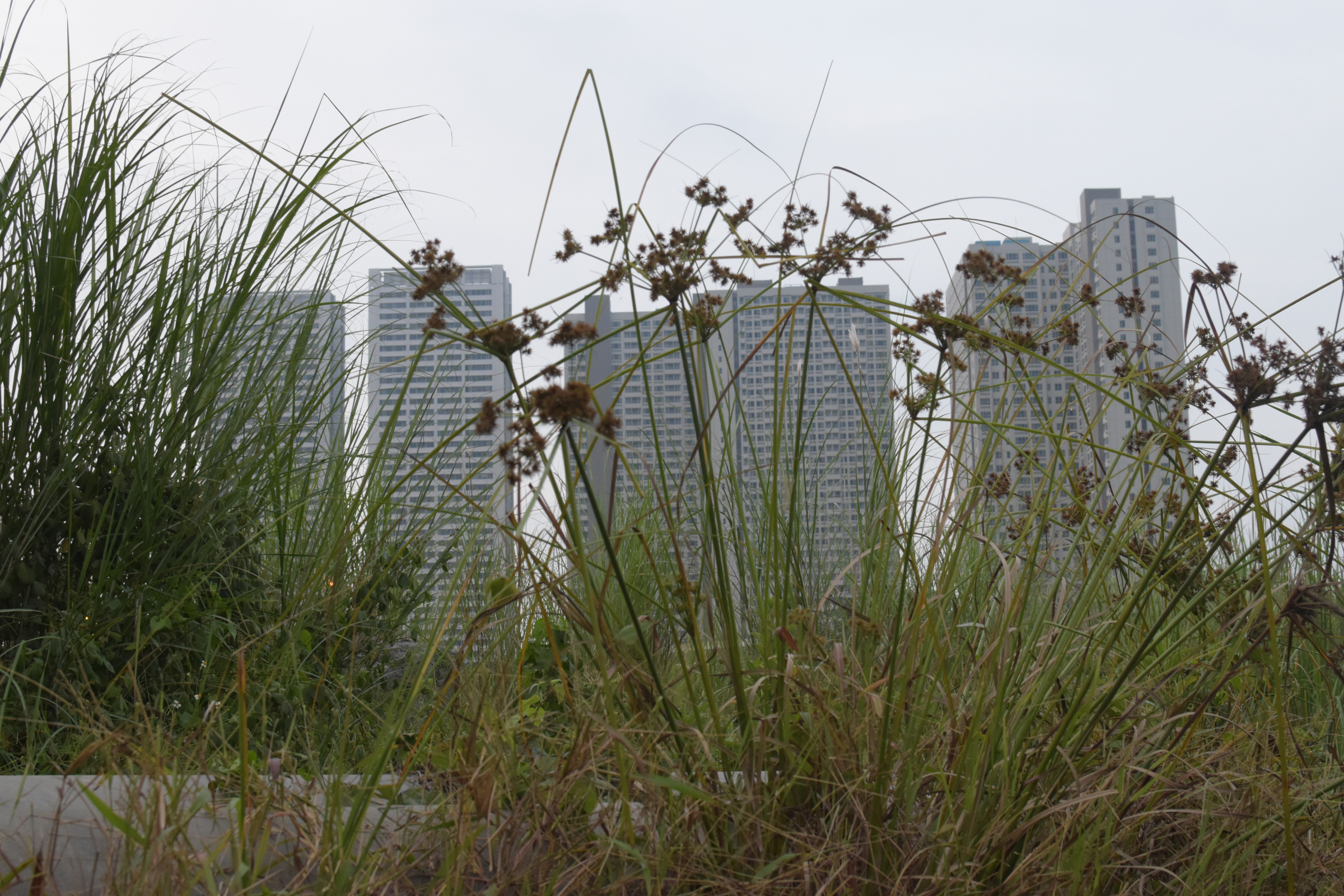 Boring Shooting Image