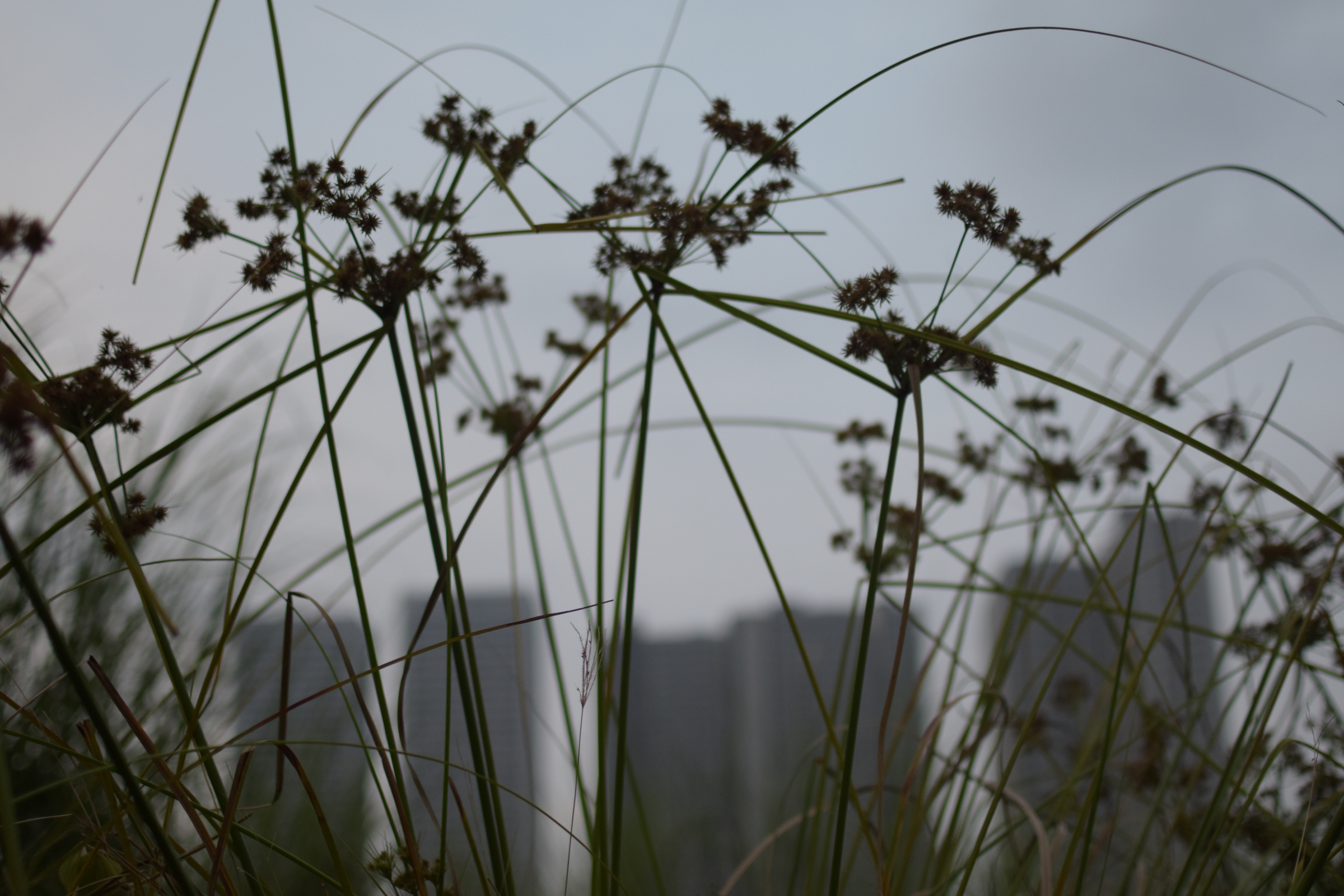 Boring Shooting Image