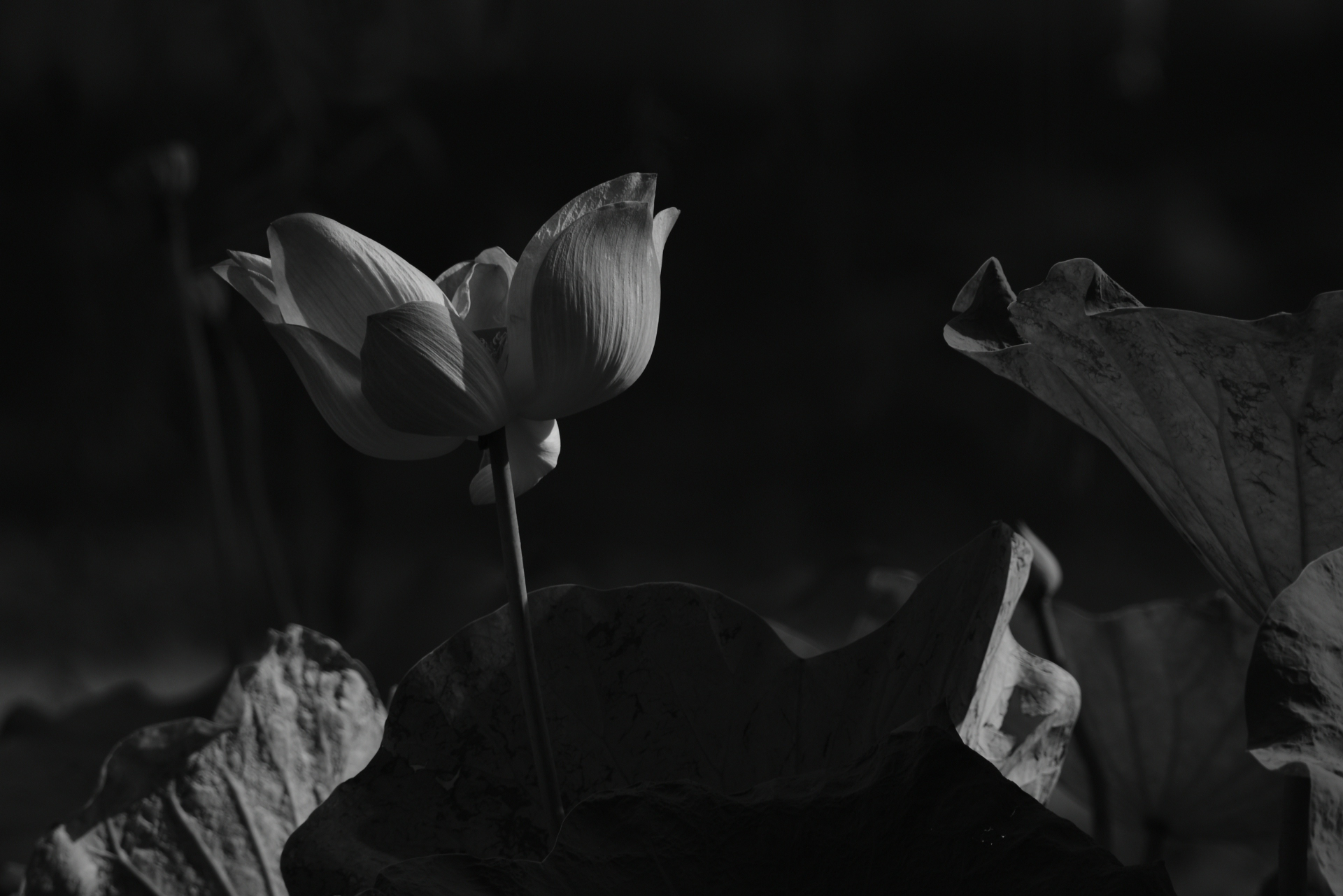 Boring Shooting Image