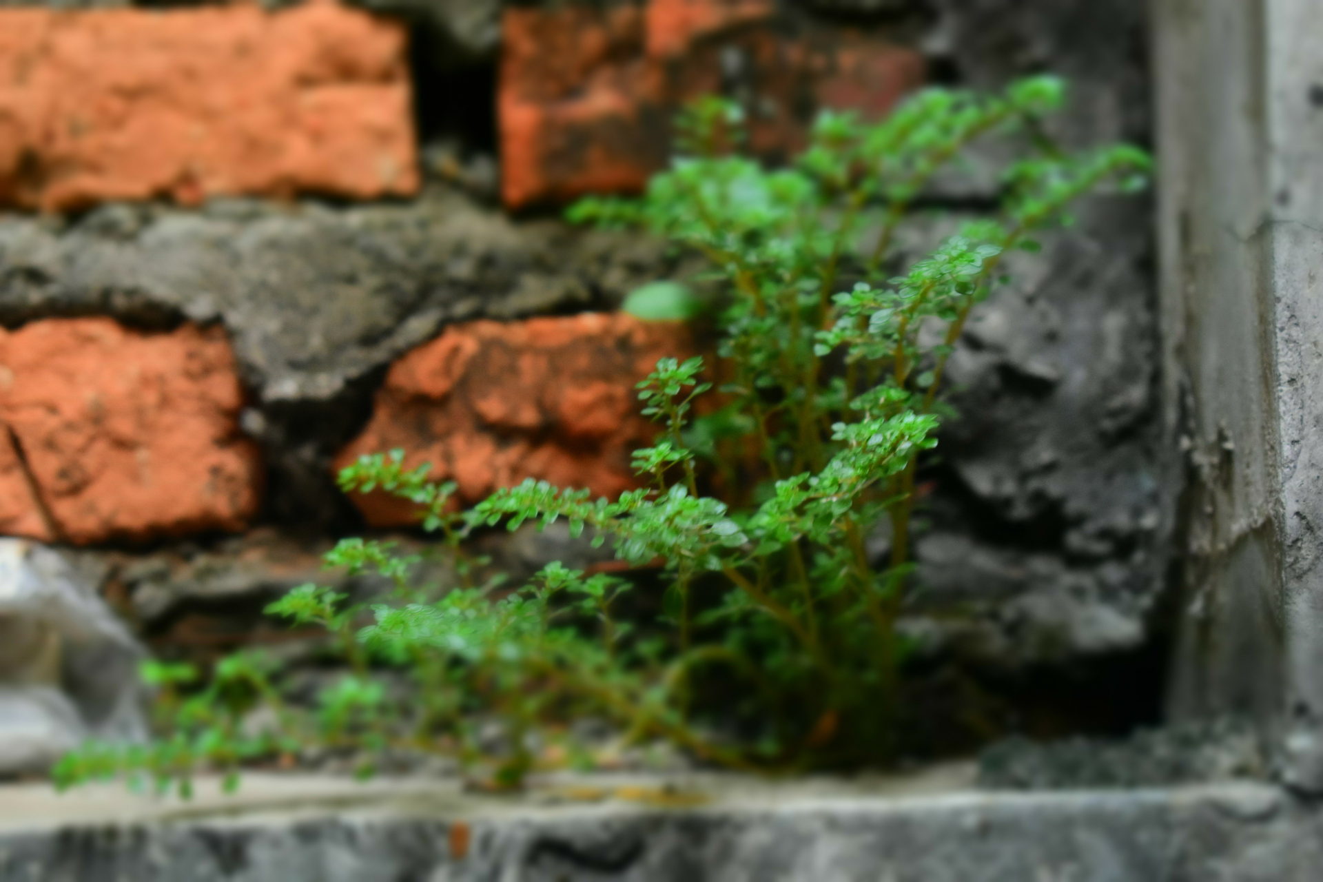 Boring Shooting Image