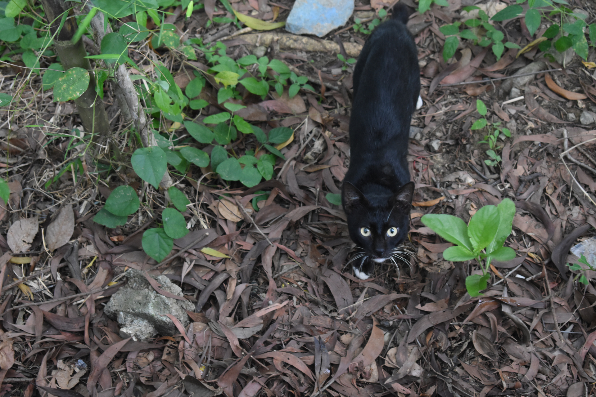 Boring Shooting Image