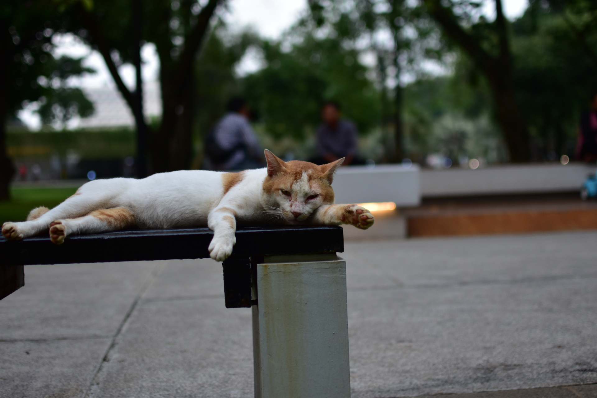 Boring Shooting Image