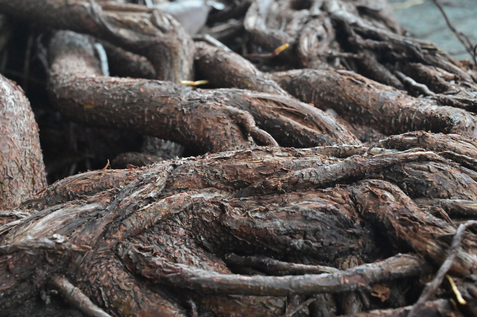 Boring Shooting Image