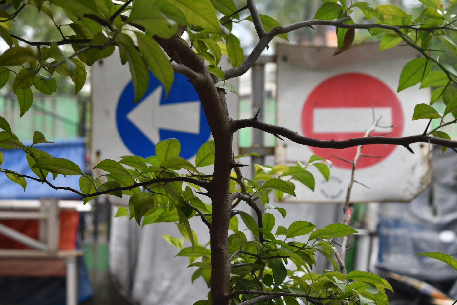 Boring Shooting Image