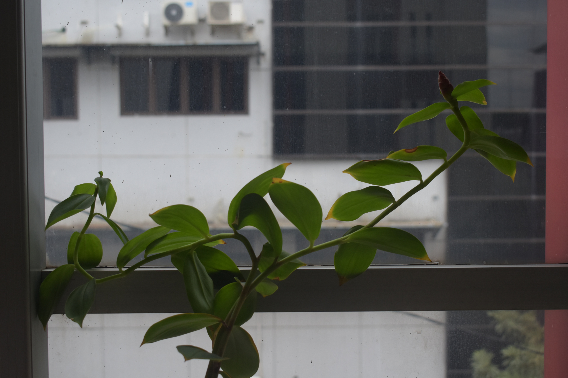 Boring Shooting Image