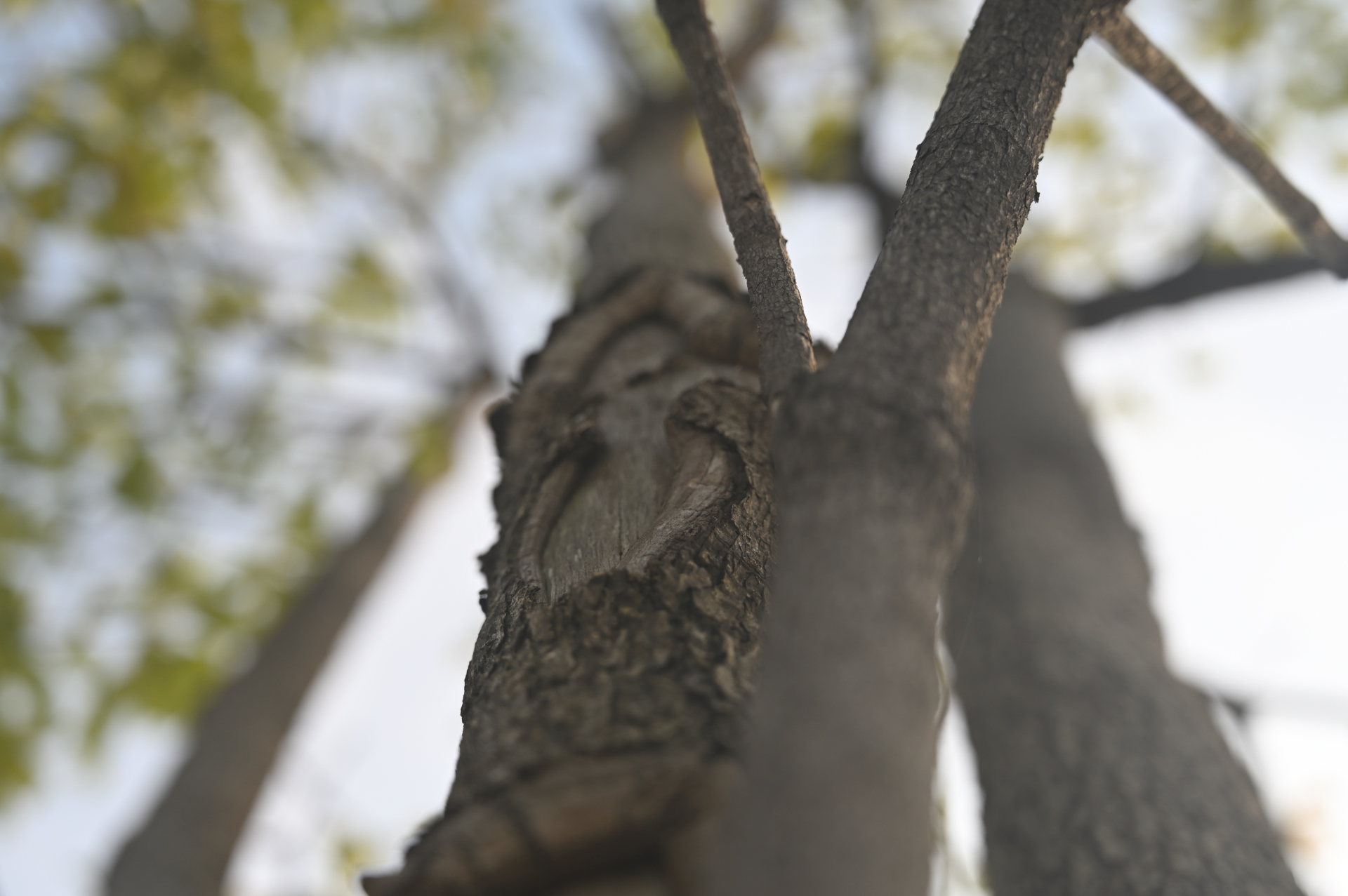 Boring Shooting Image