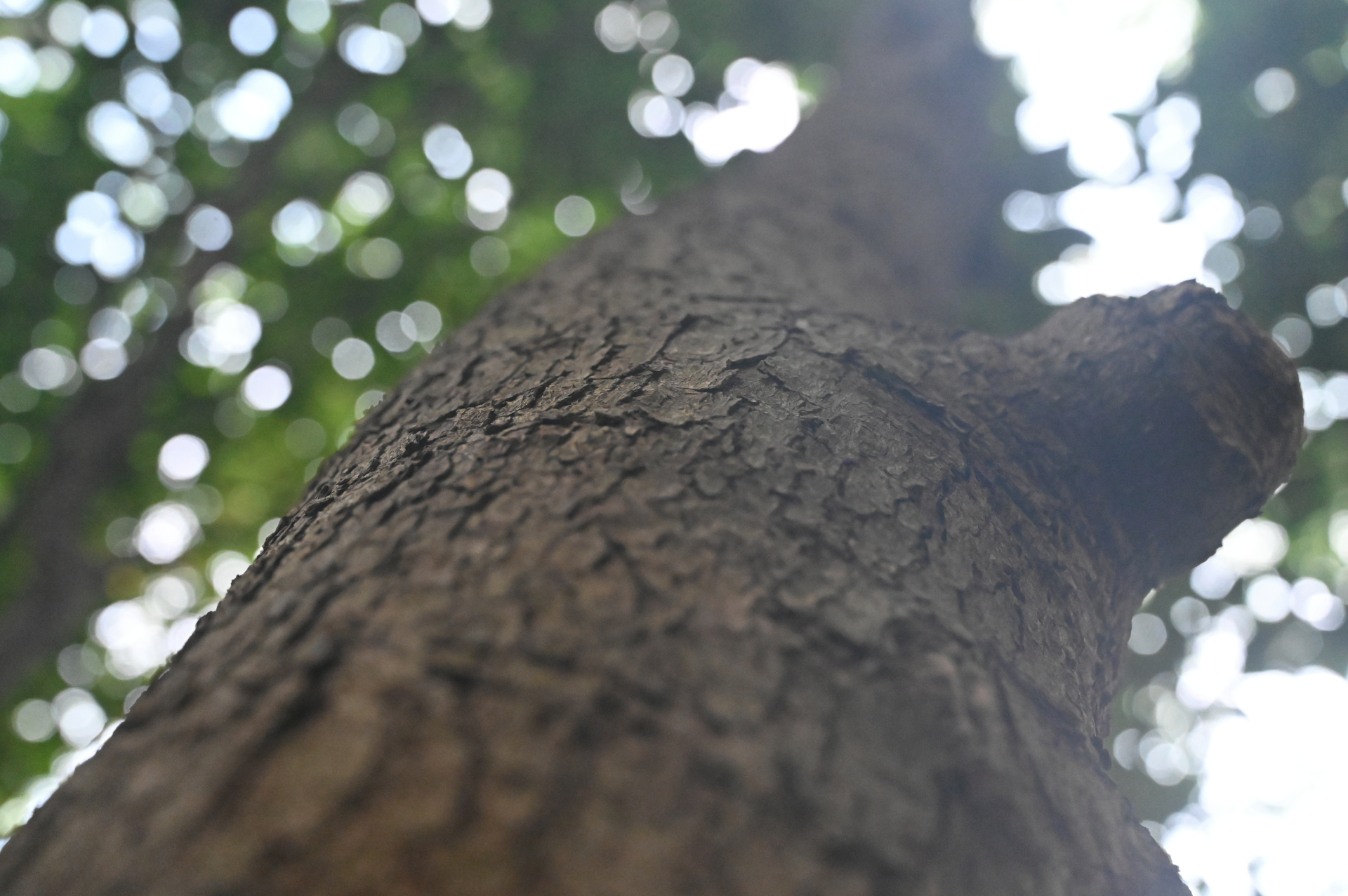 Boring Shooting Image