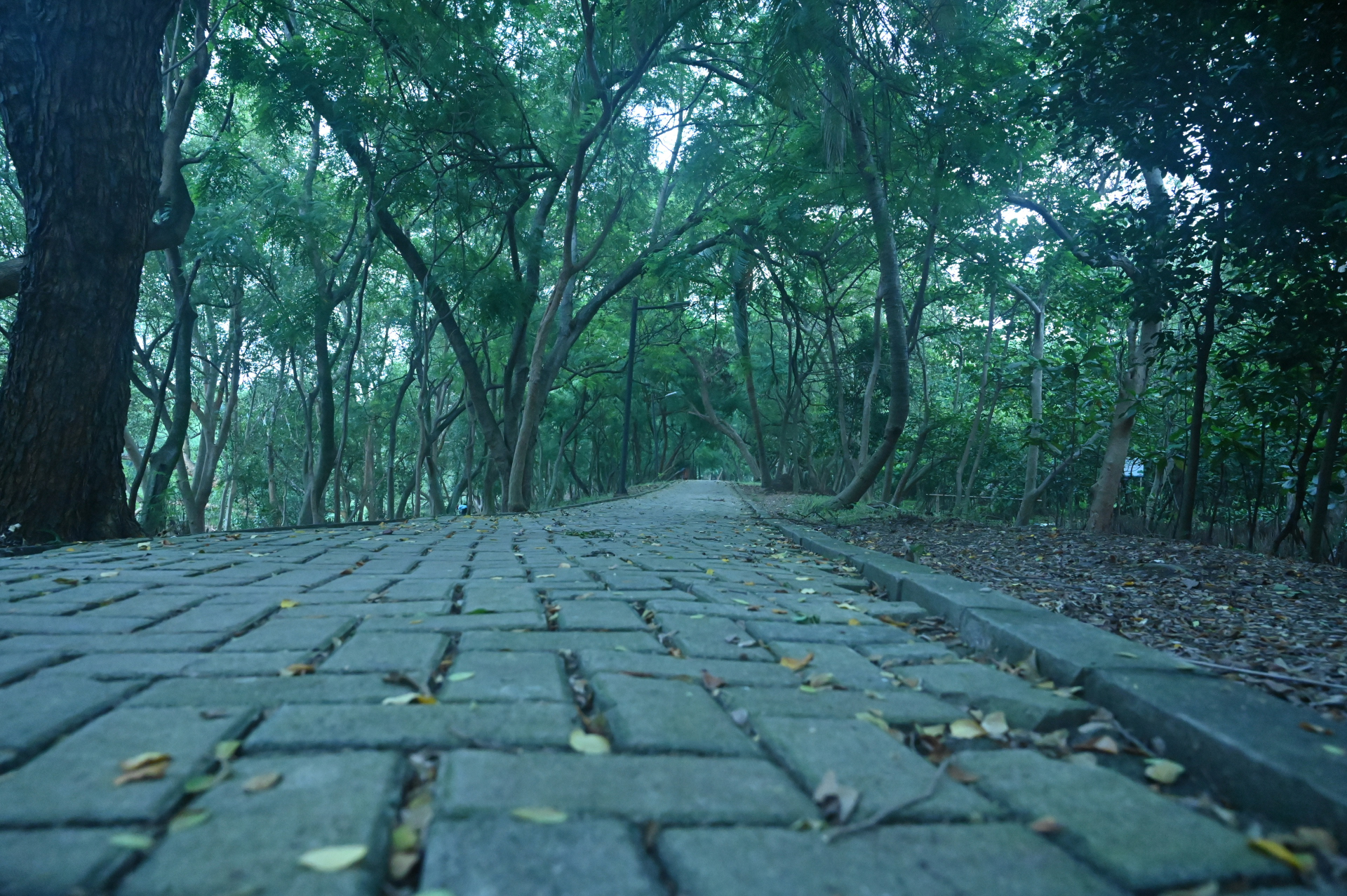 Boring Shooting Image