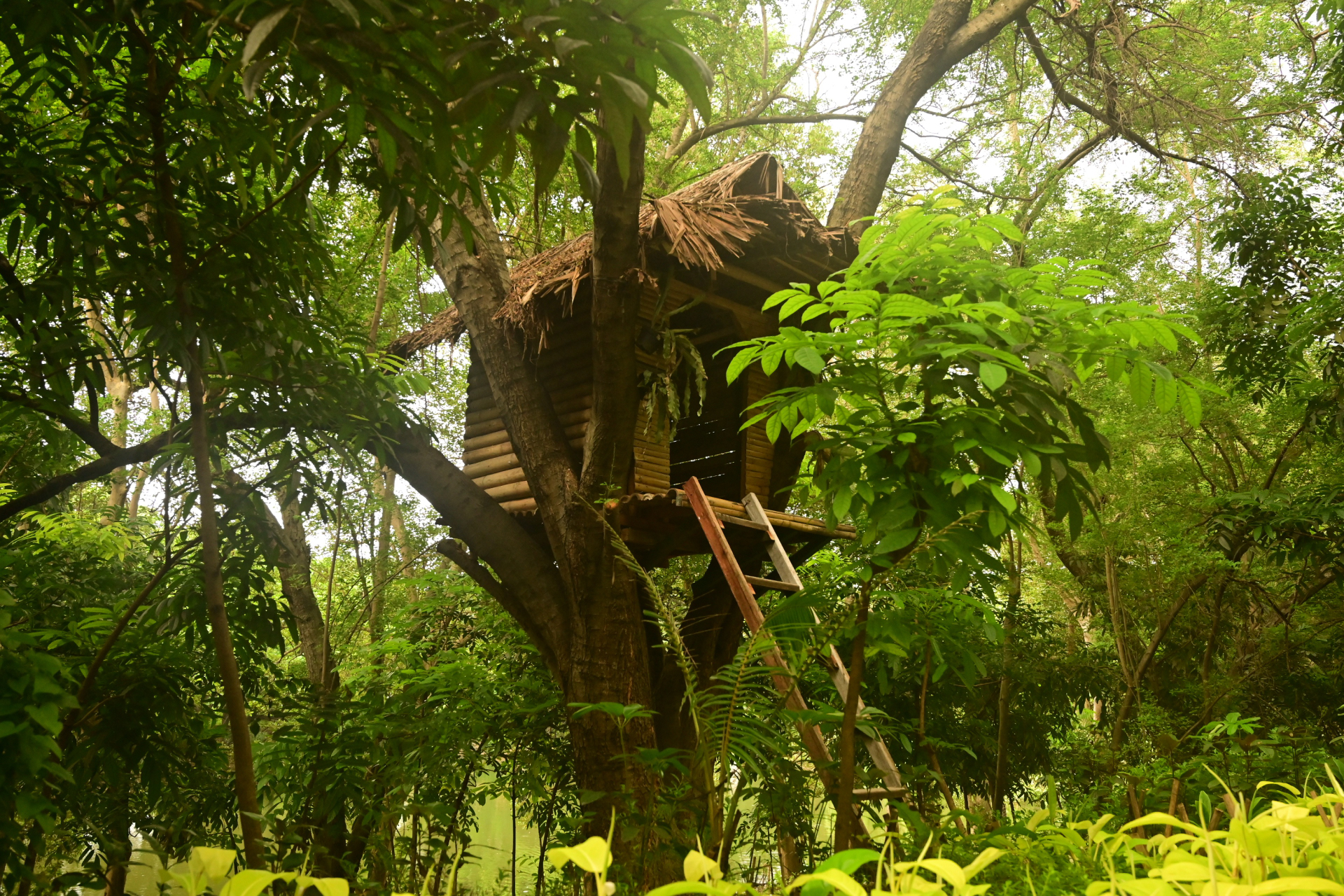 Boring Shooting Image