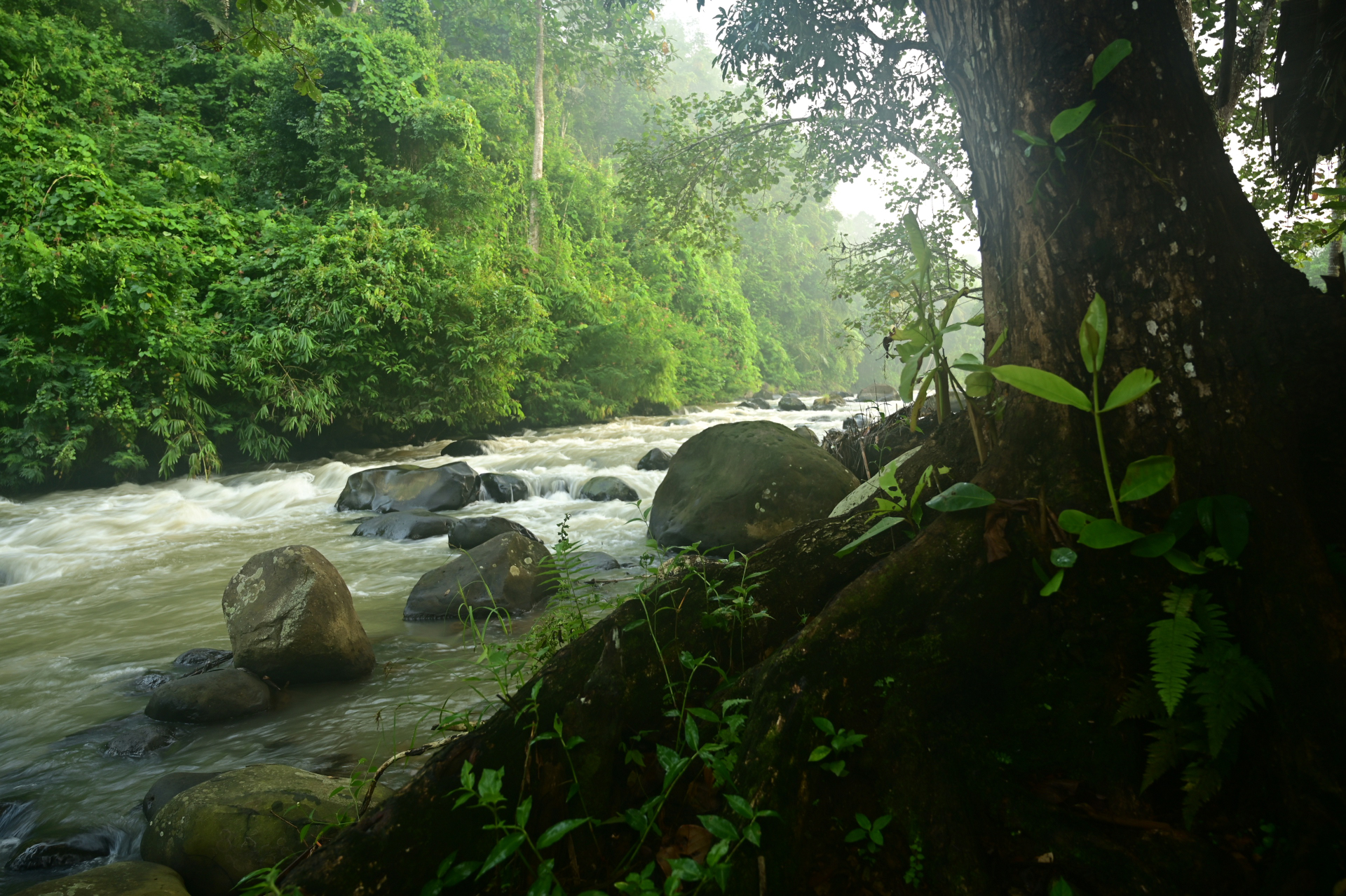 Boring Shooting Image