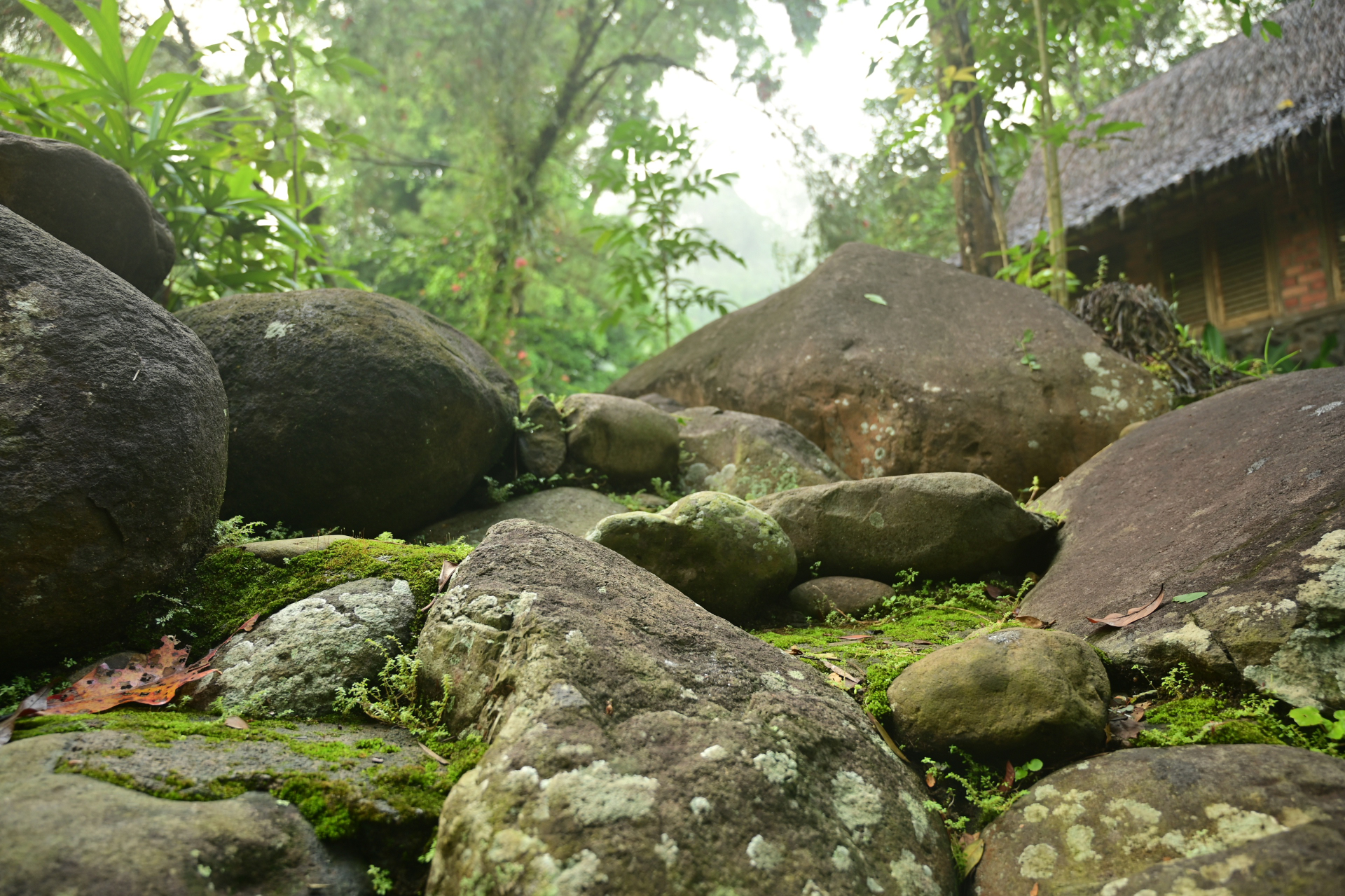 Boring Shooting Image