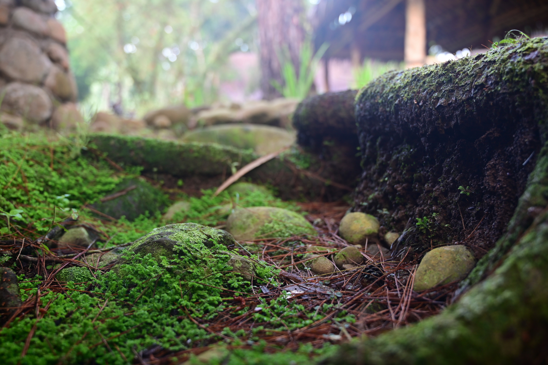 Boring Shooting Image