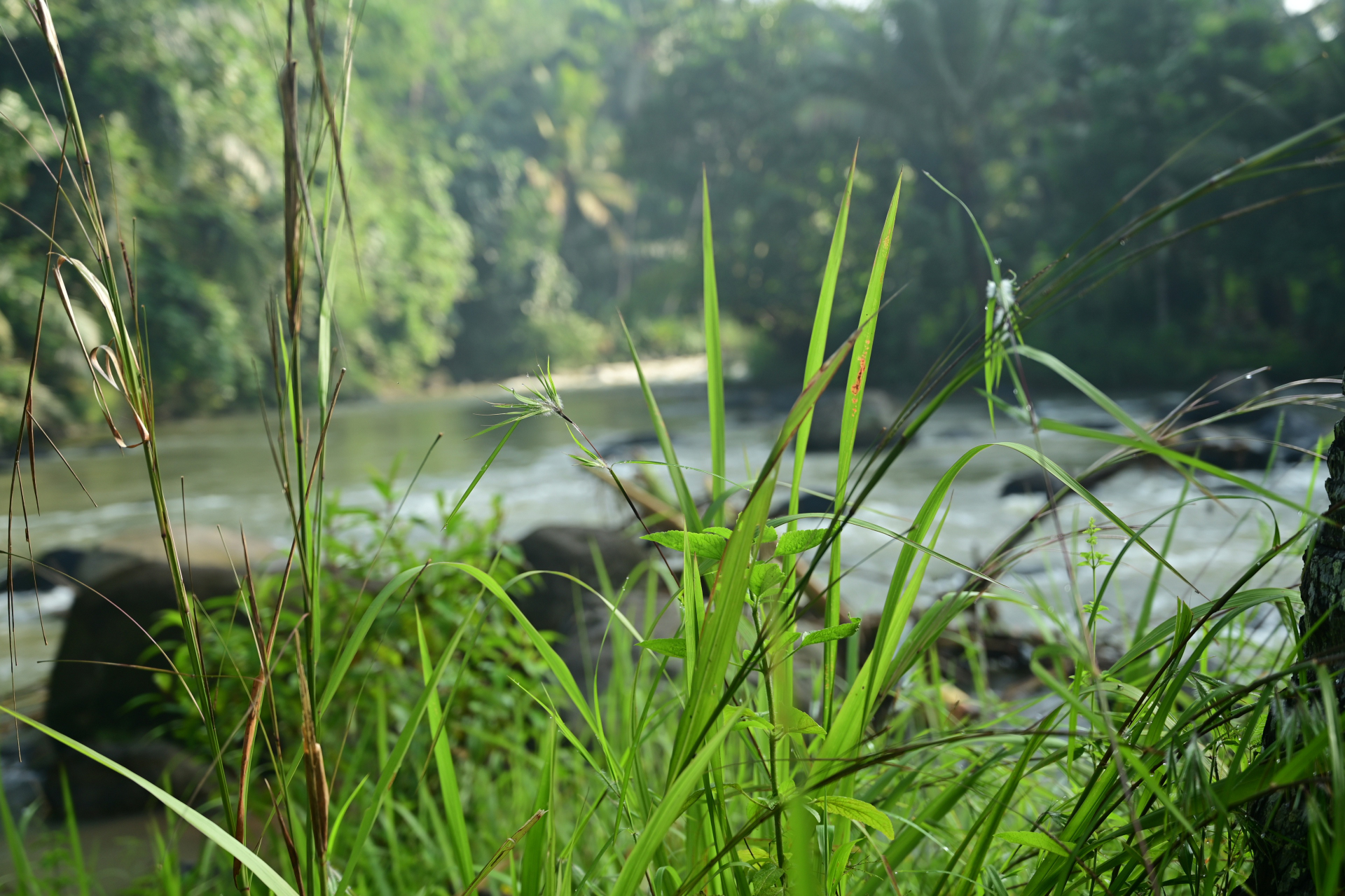 Boring Shooting Image