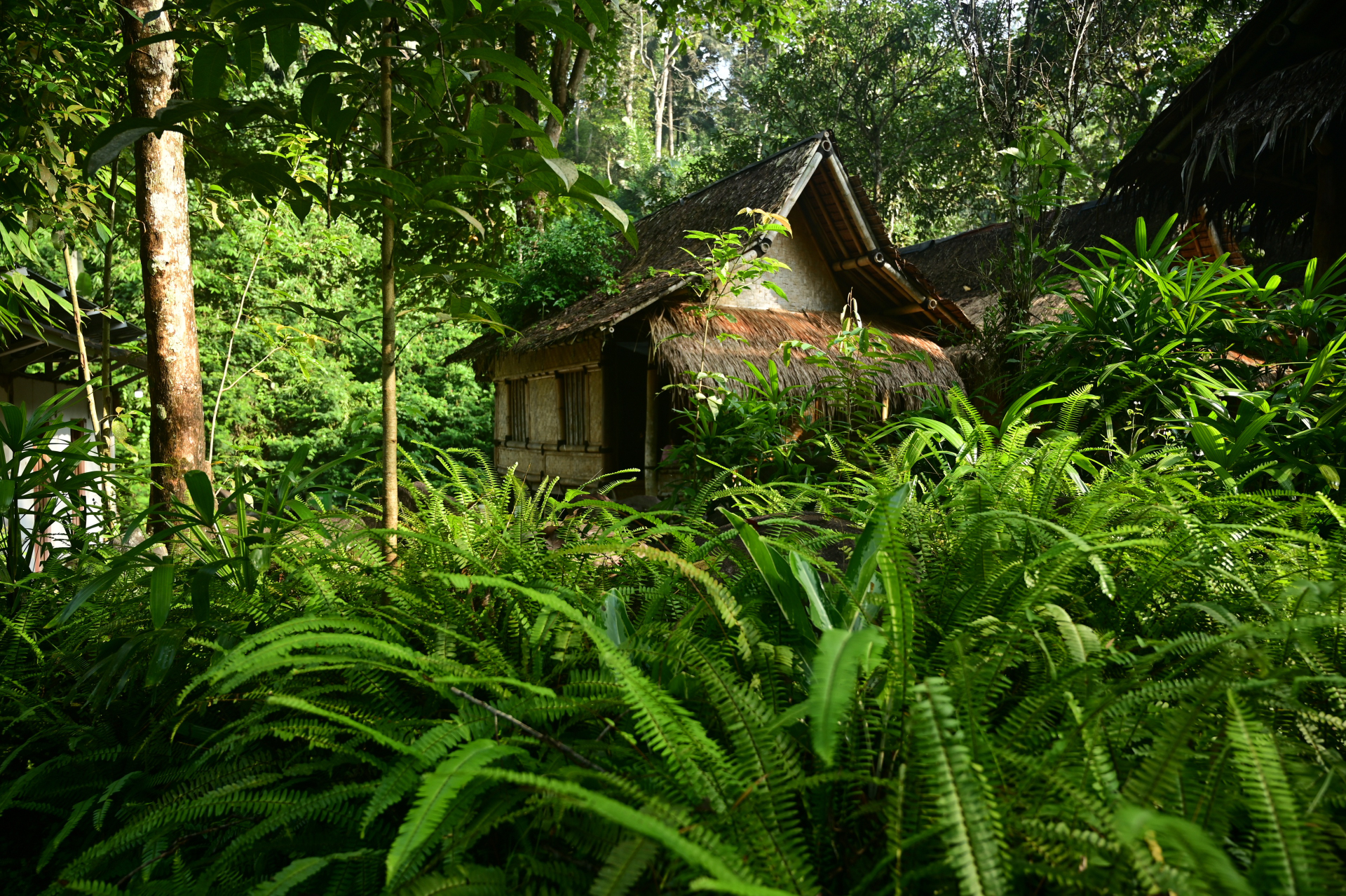 Boring Shooting Image