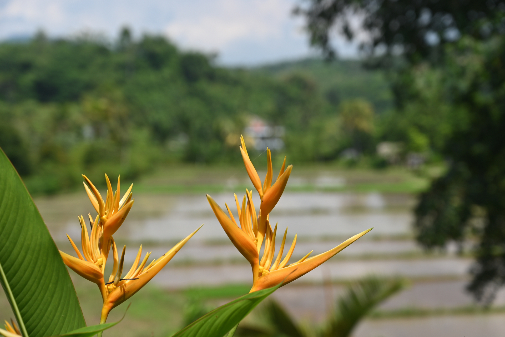 Boring Shooting Image