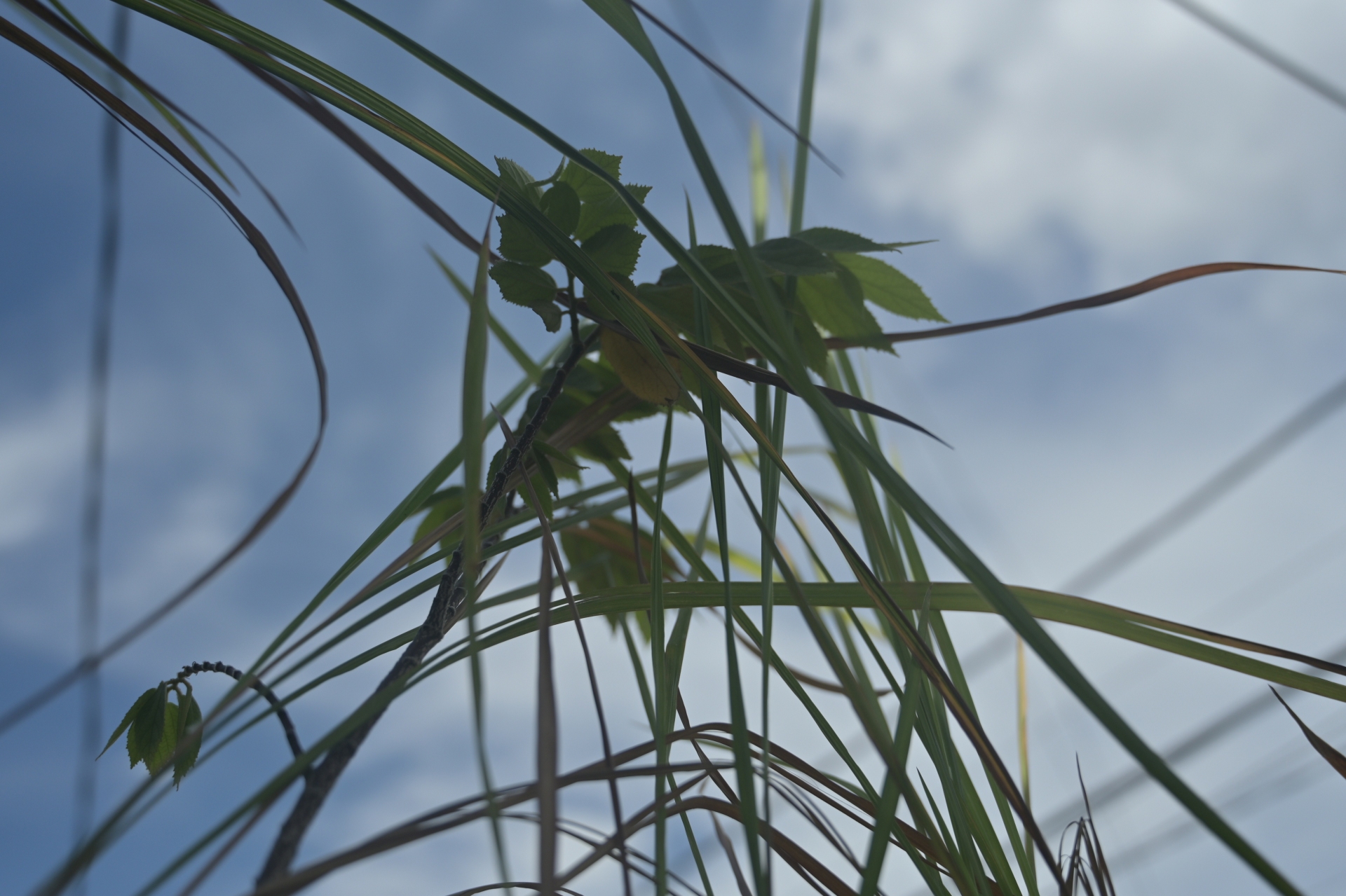 Boring Shooting Image