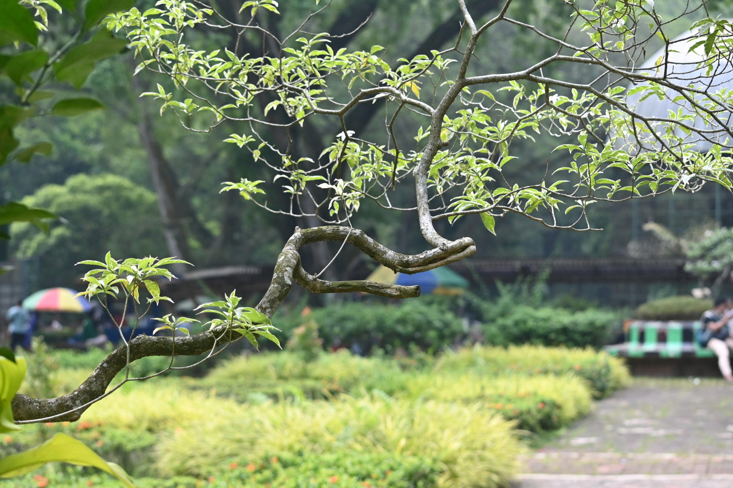 Boring Shooting Image