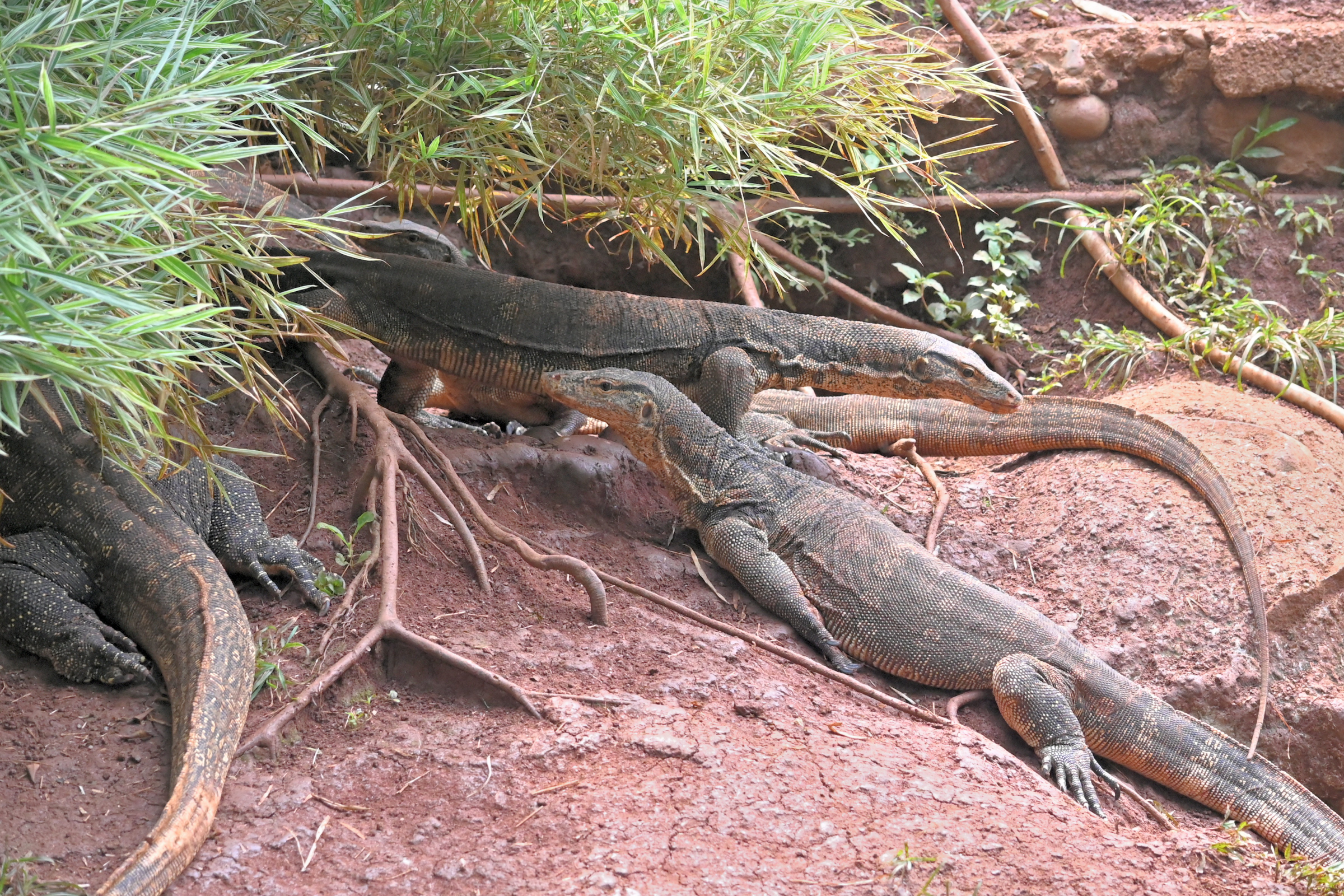 Boring Shooting Image