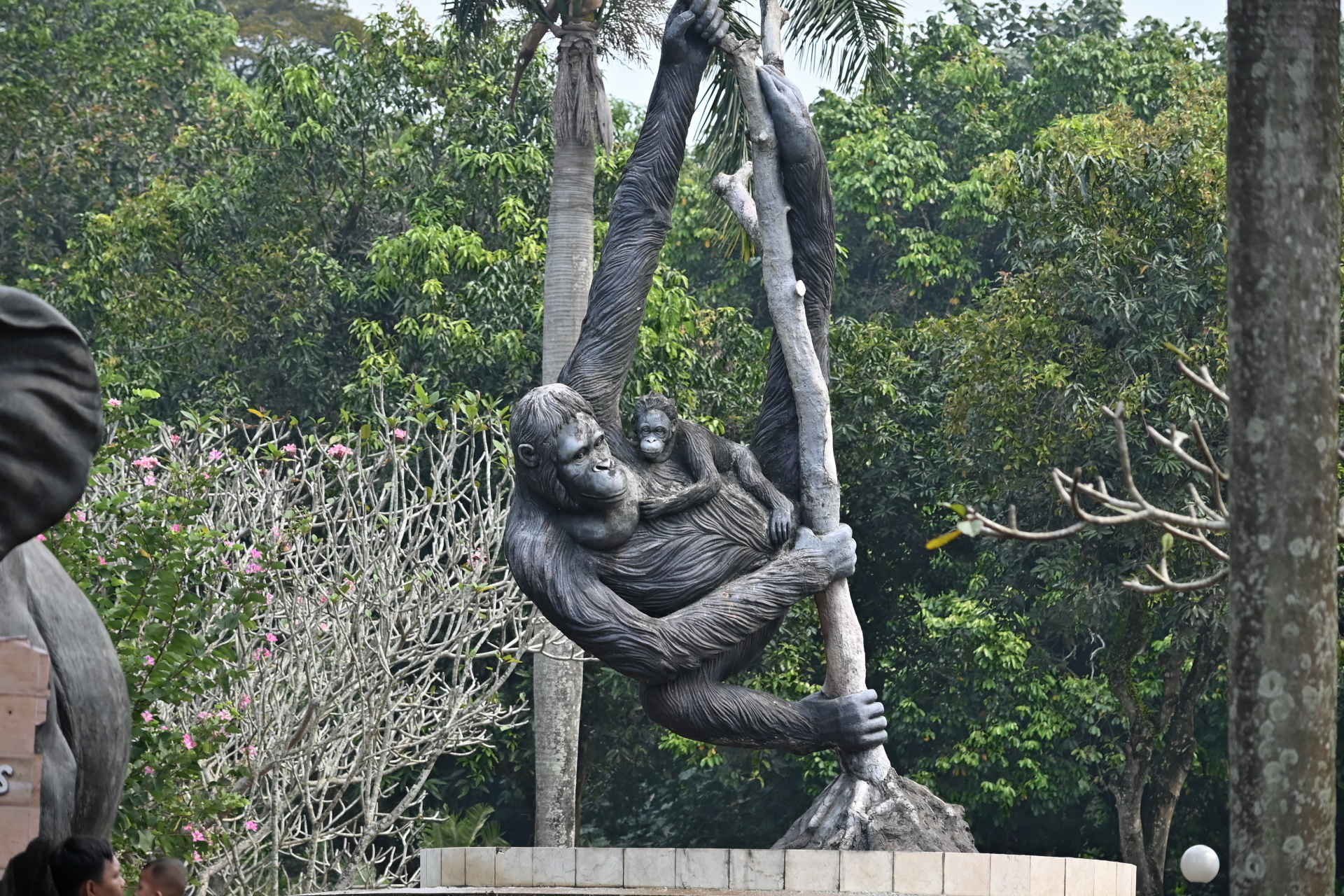 Boring Shooting Image