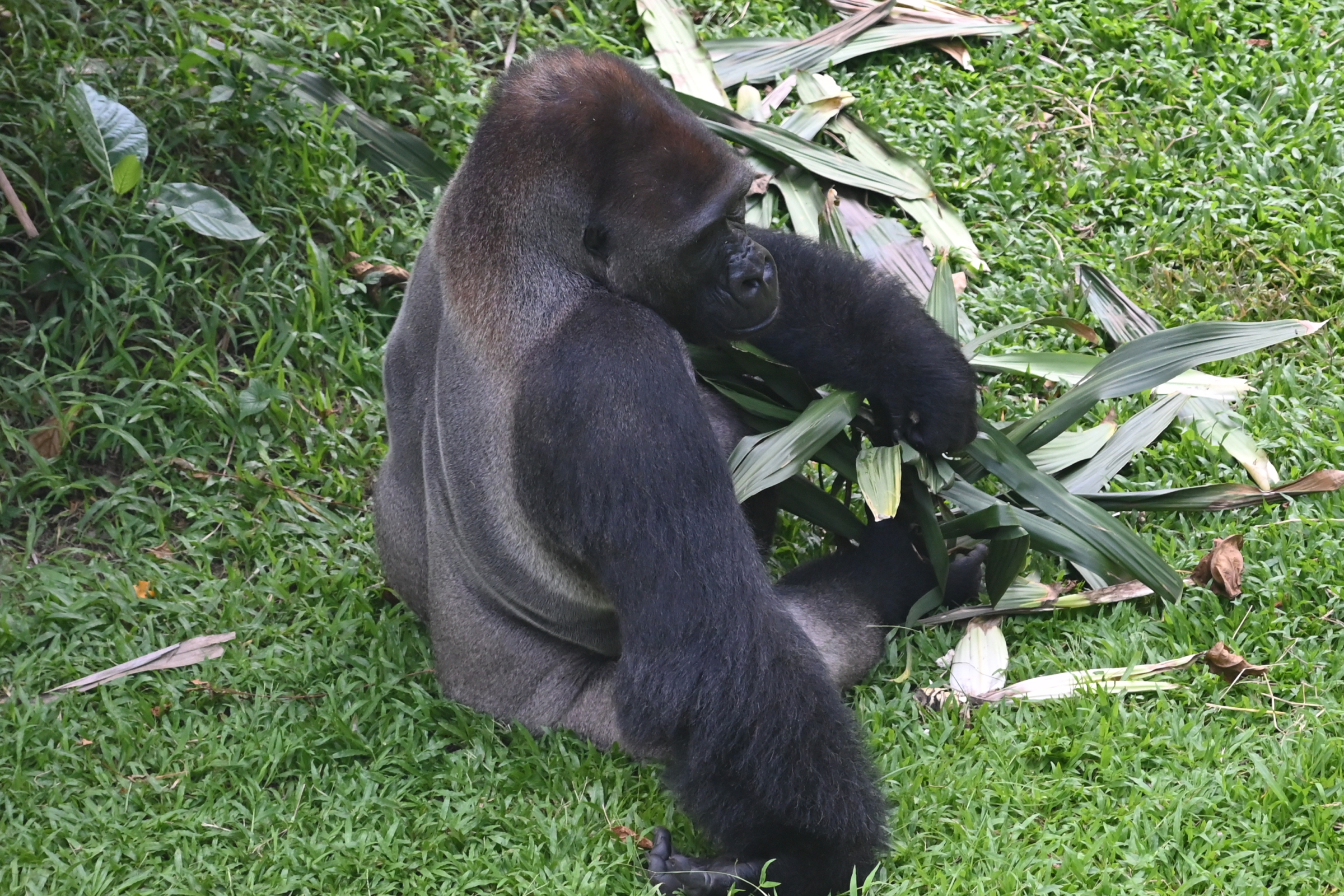 Boring Shooting Image