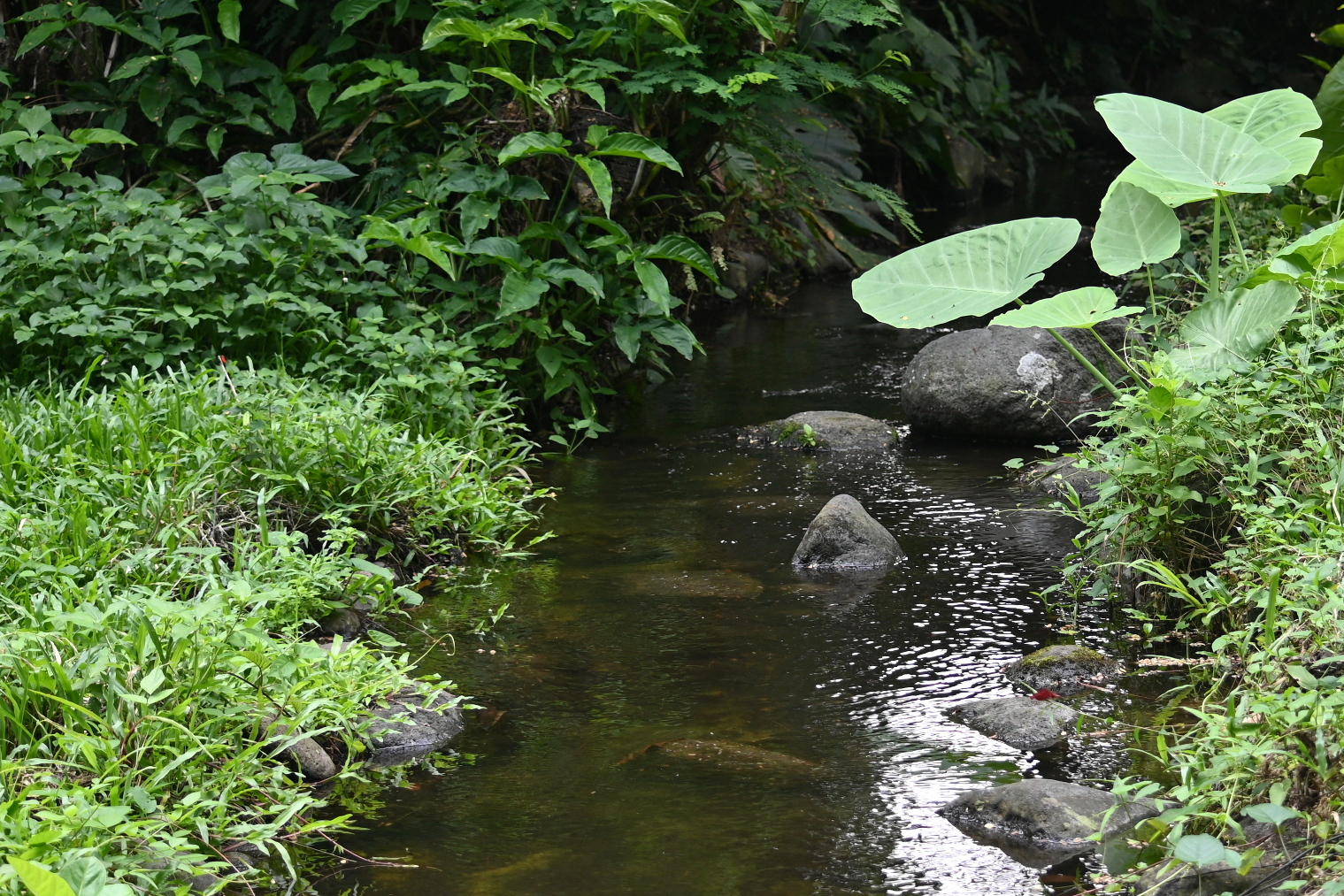 Boring Shooting Image