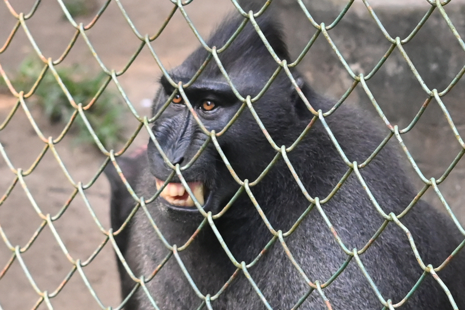 Boring Shooting Image