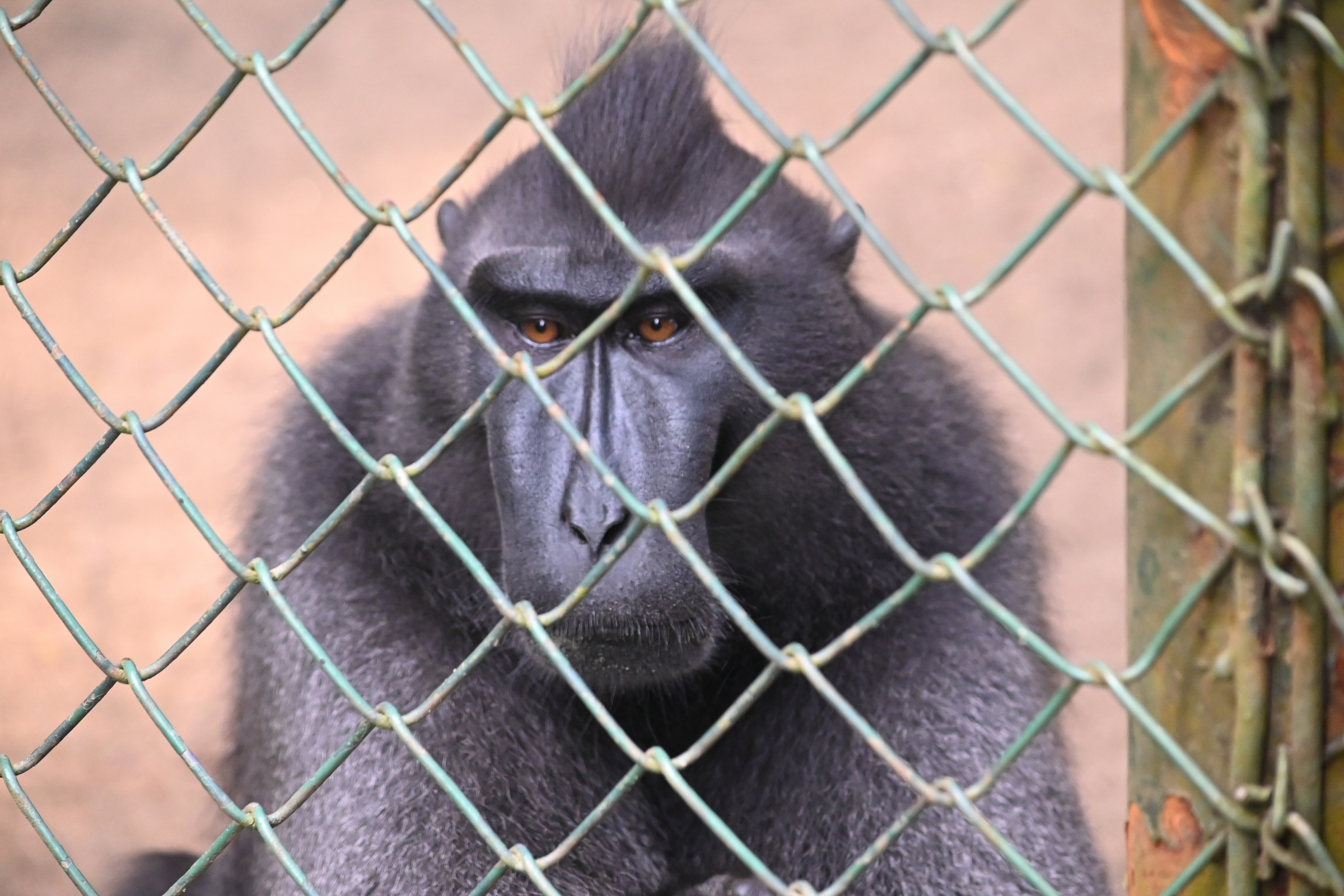 Boring Shooting Image