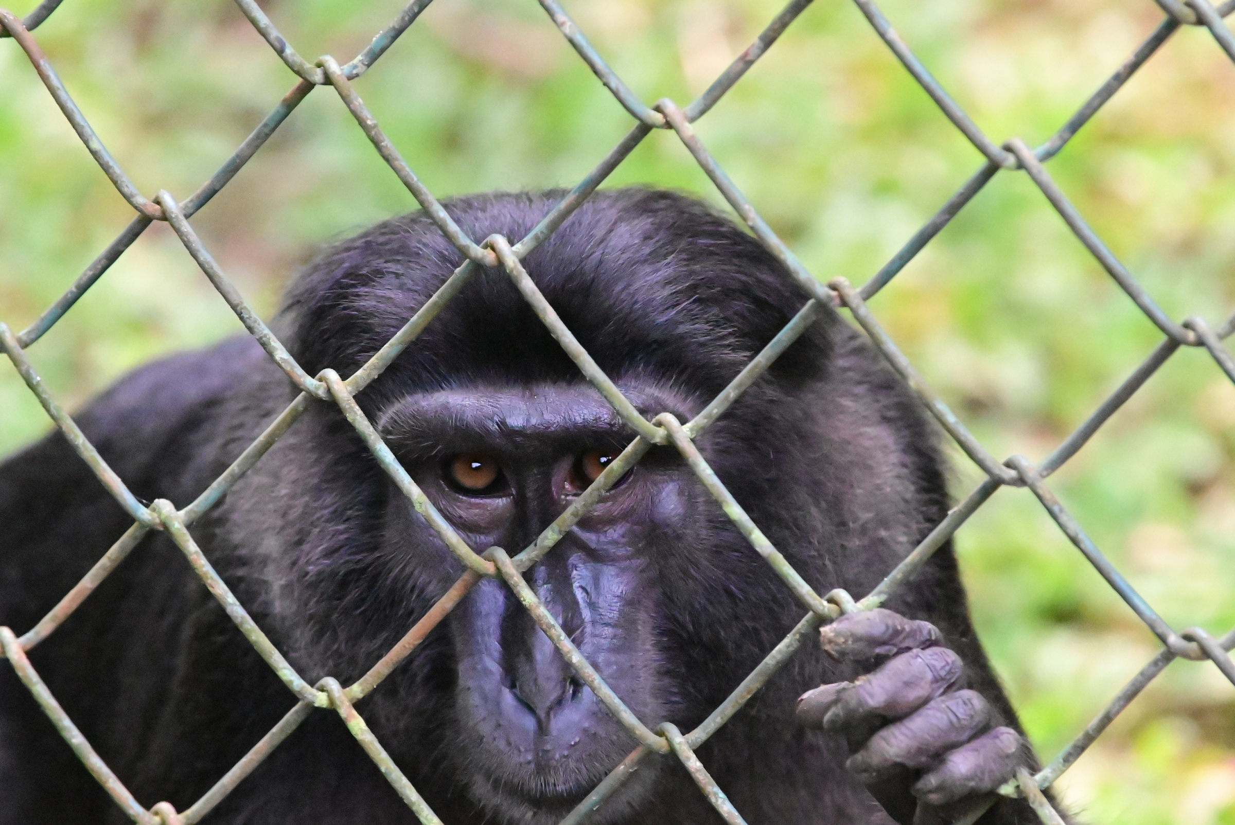 Boring Shooting Image