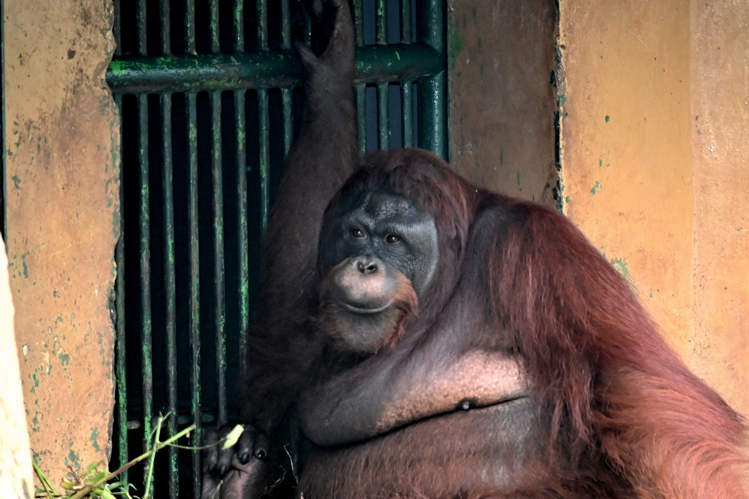 Boring Shooting Image