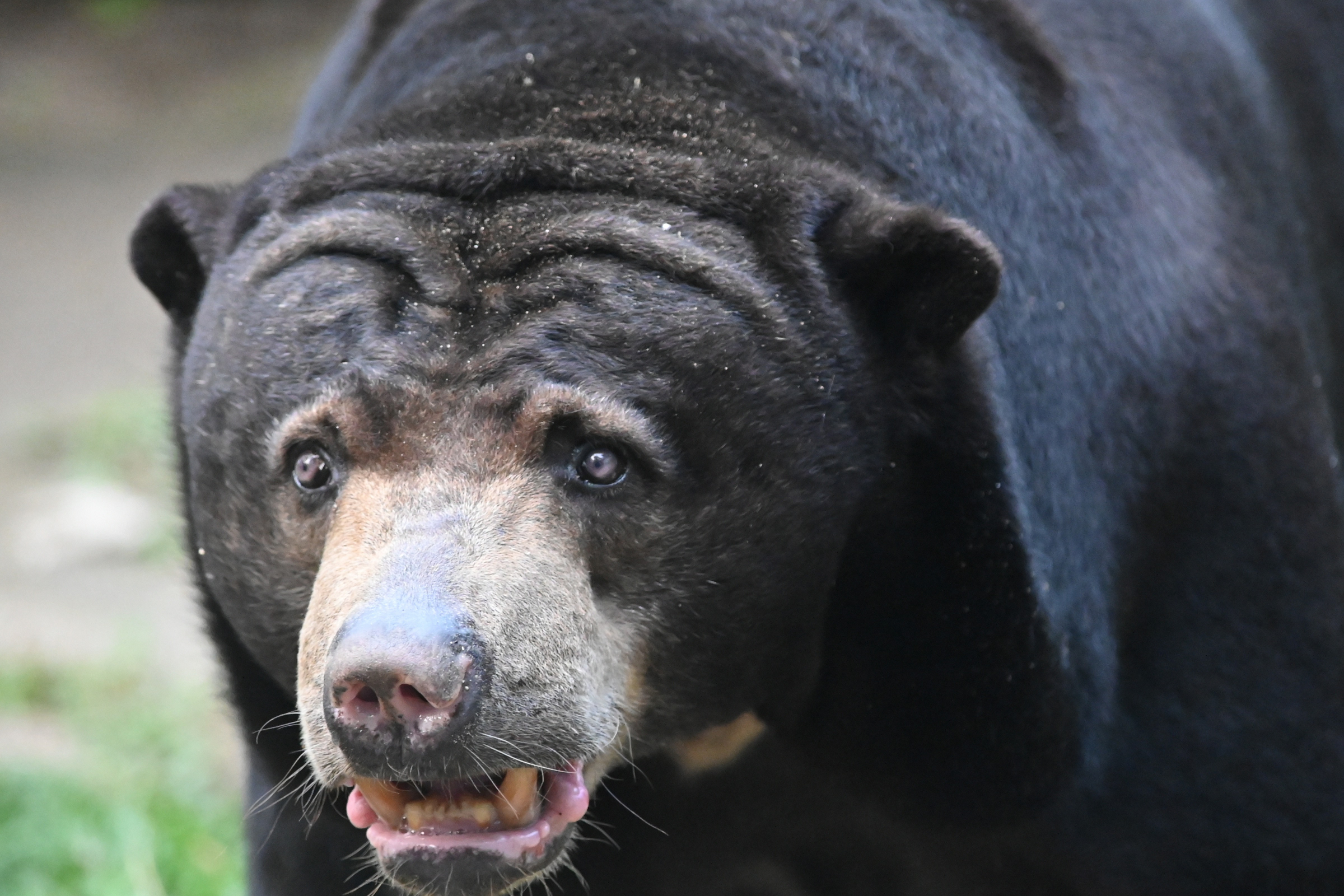 Boring Shooting Image