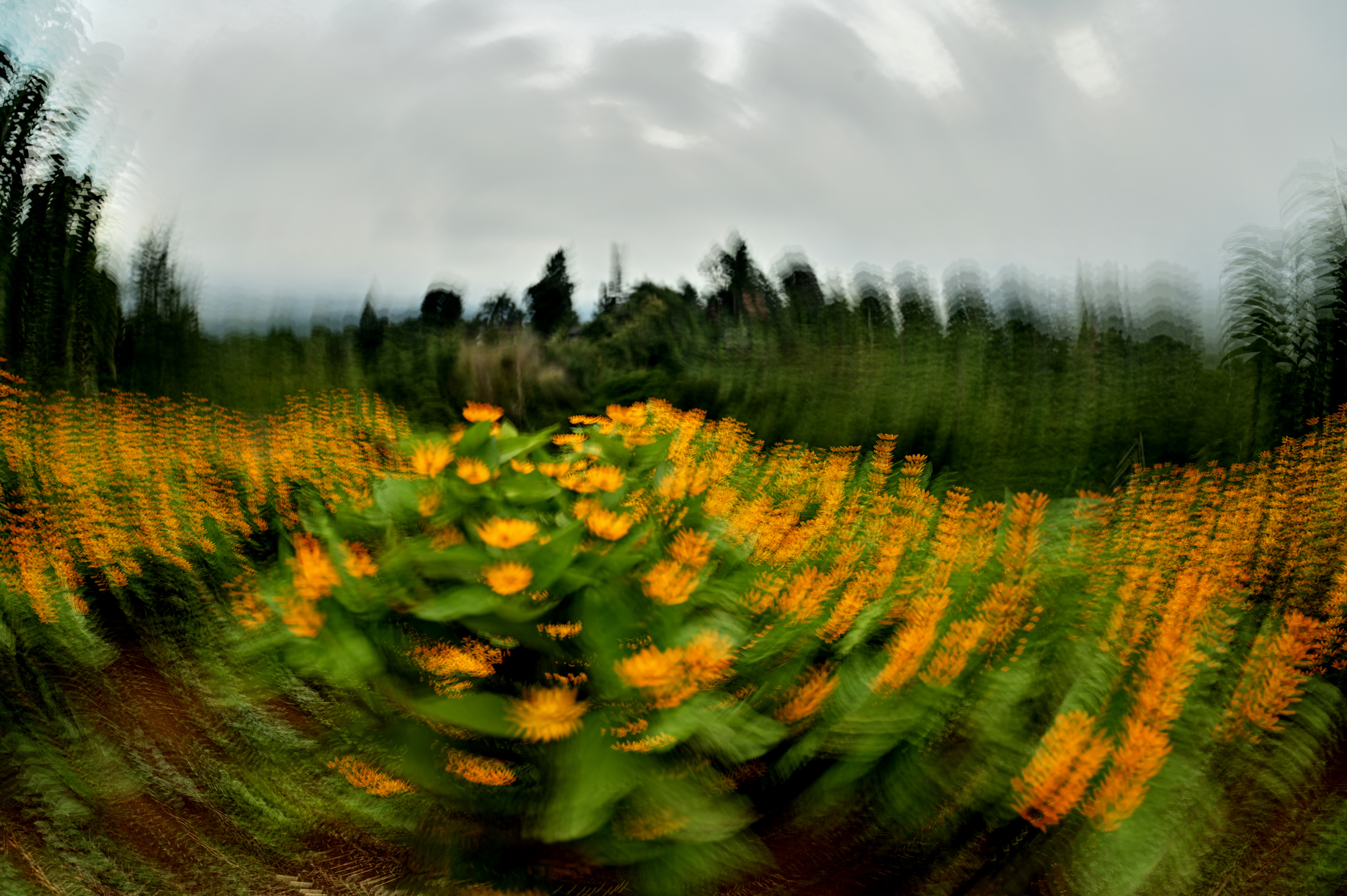 Boring Shooting Image