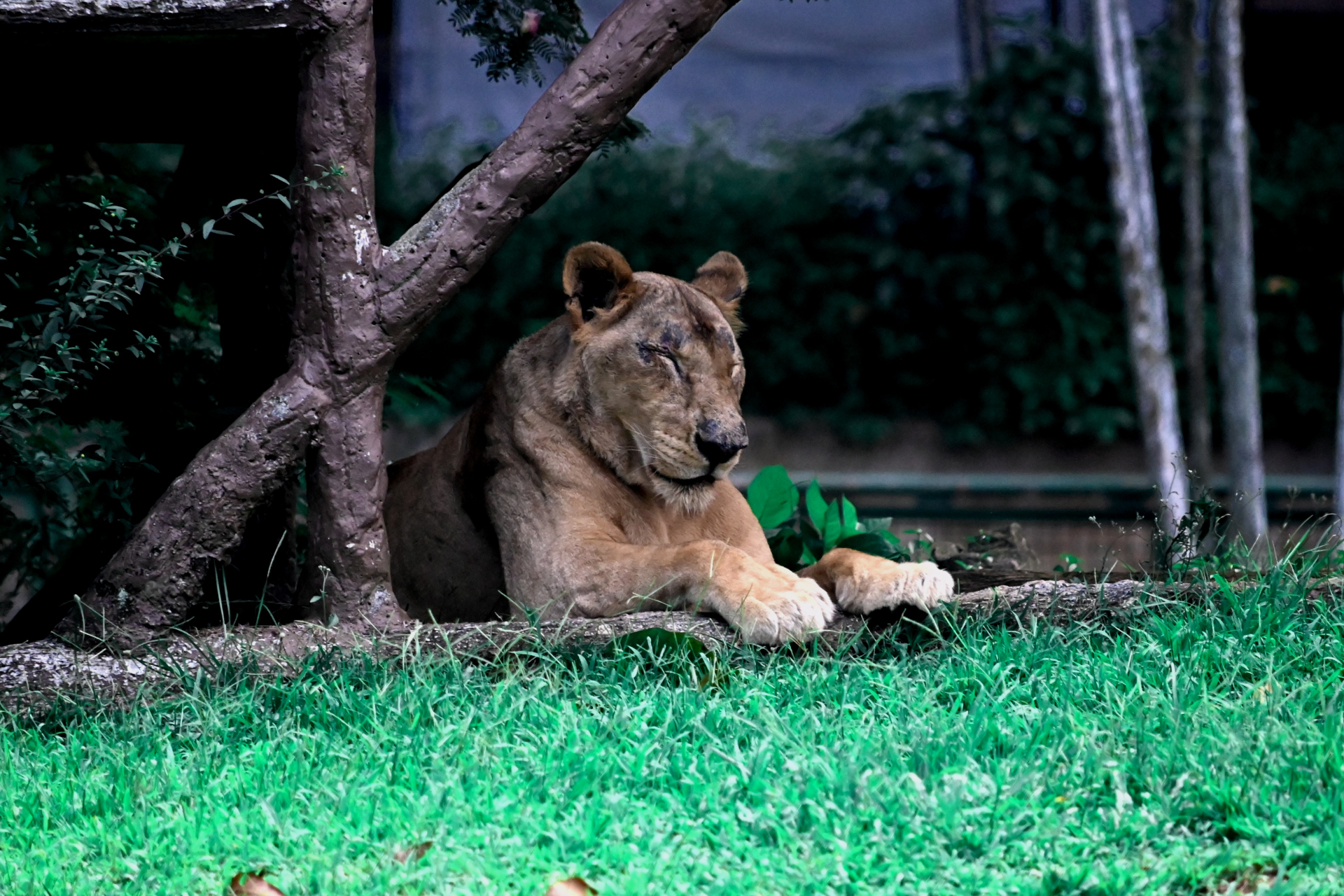 Boring Shooting Image