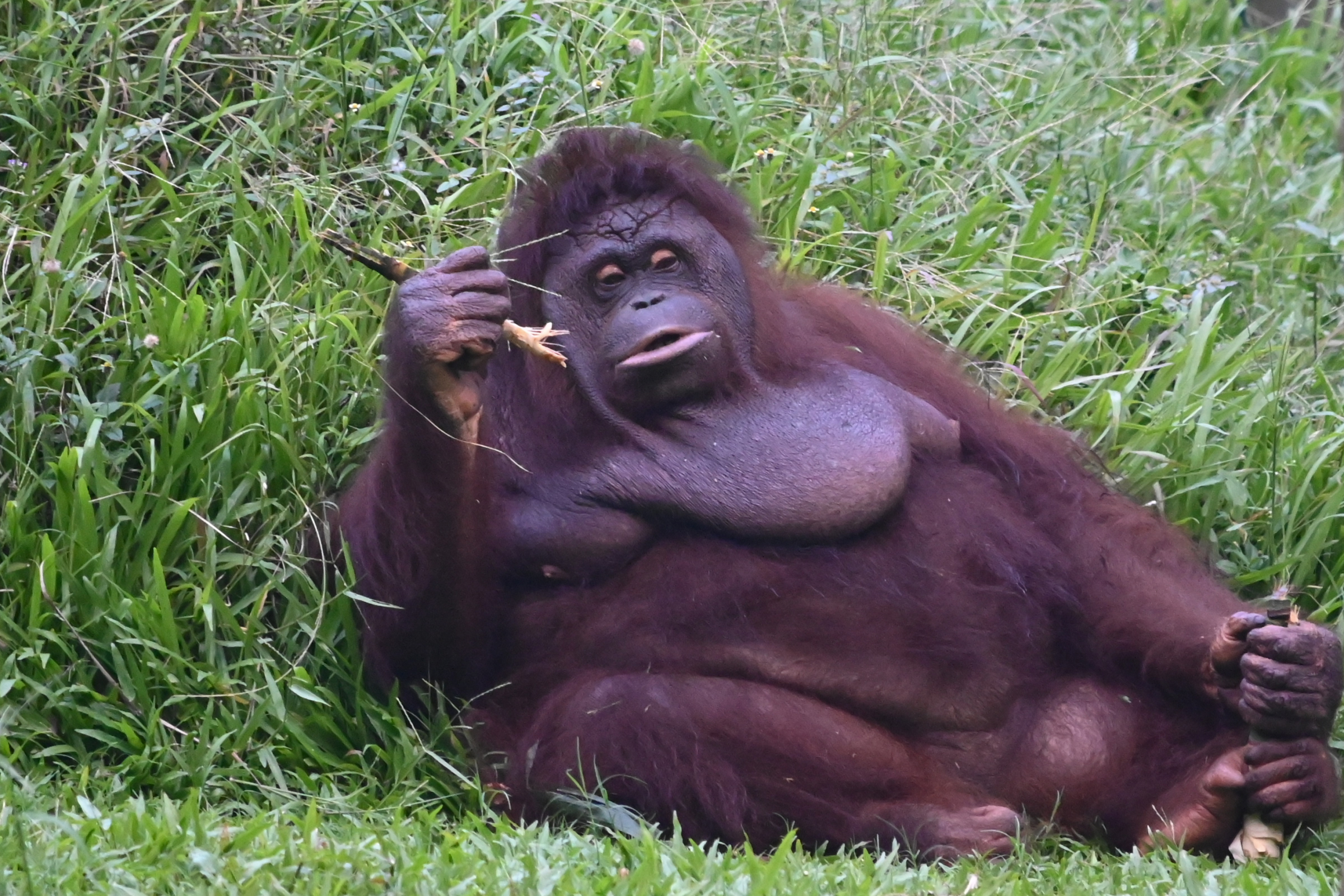 Boring Shooting Image