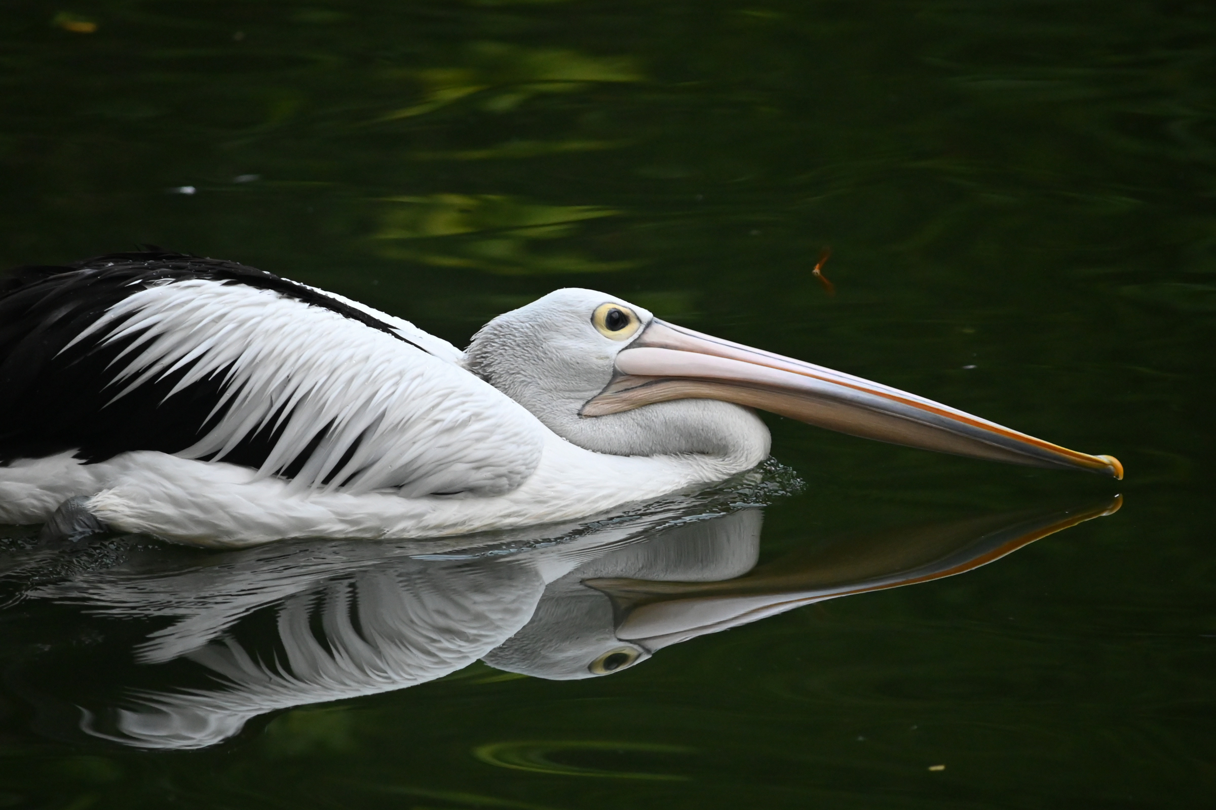 Boring Shooting Image