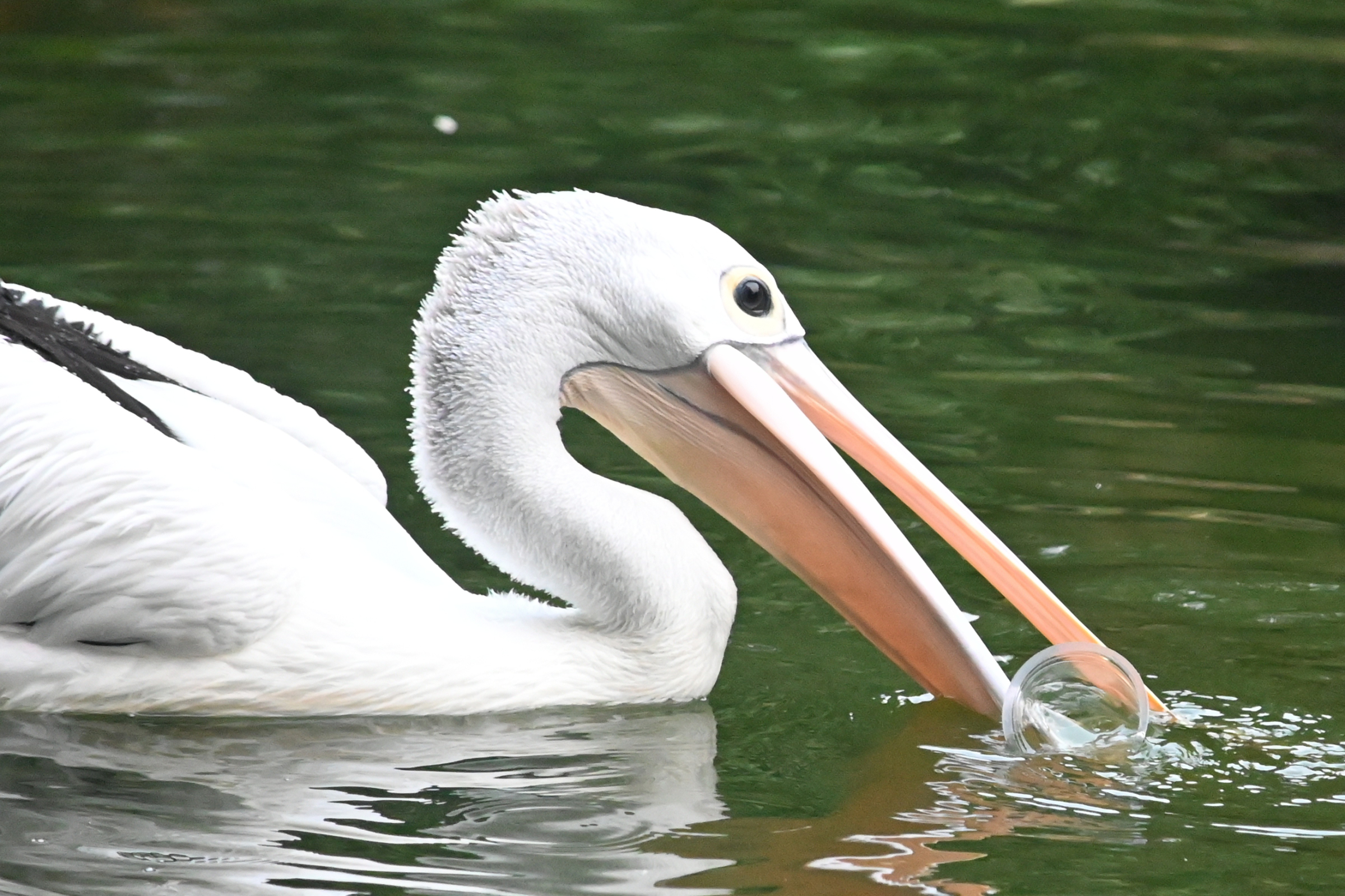 Boring Shooting Image