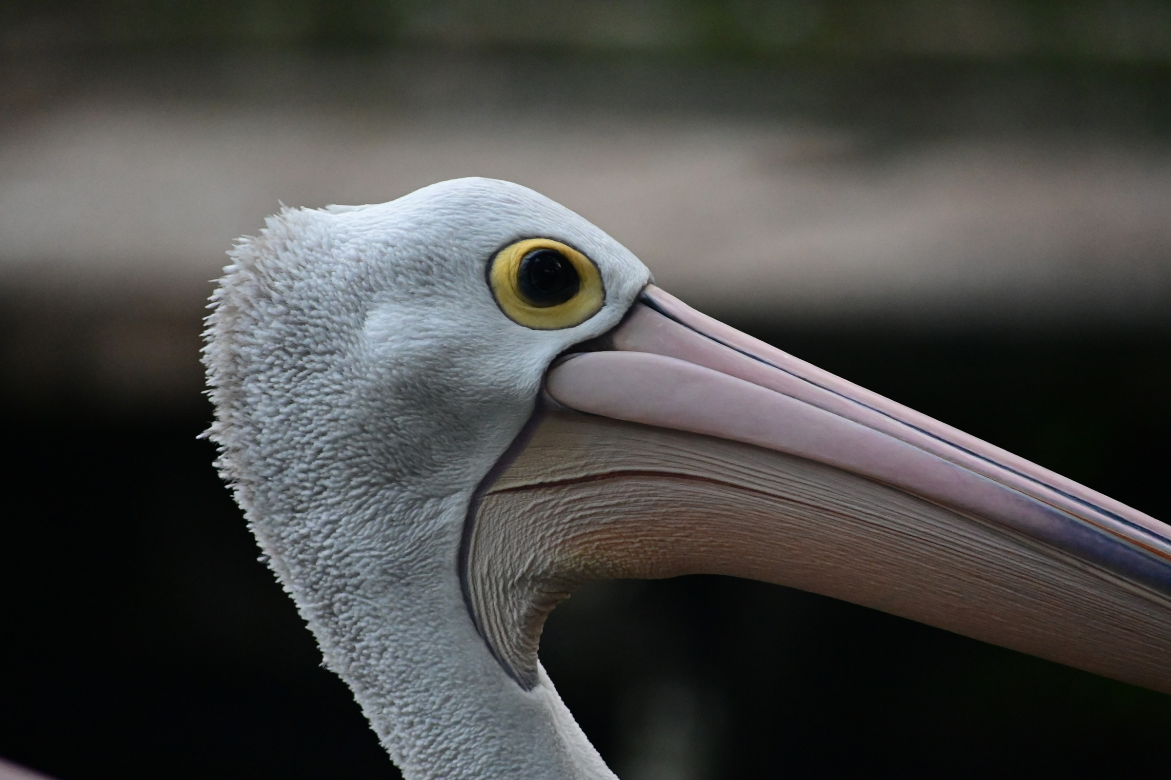 Boring Shooting Image